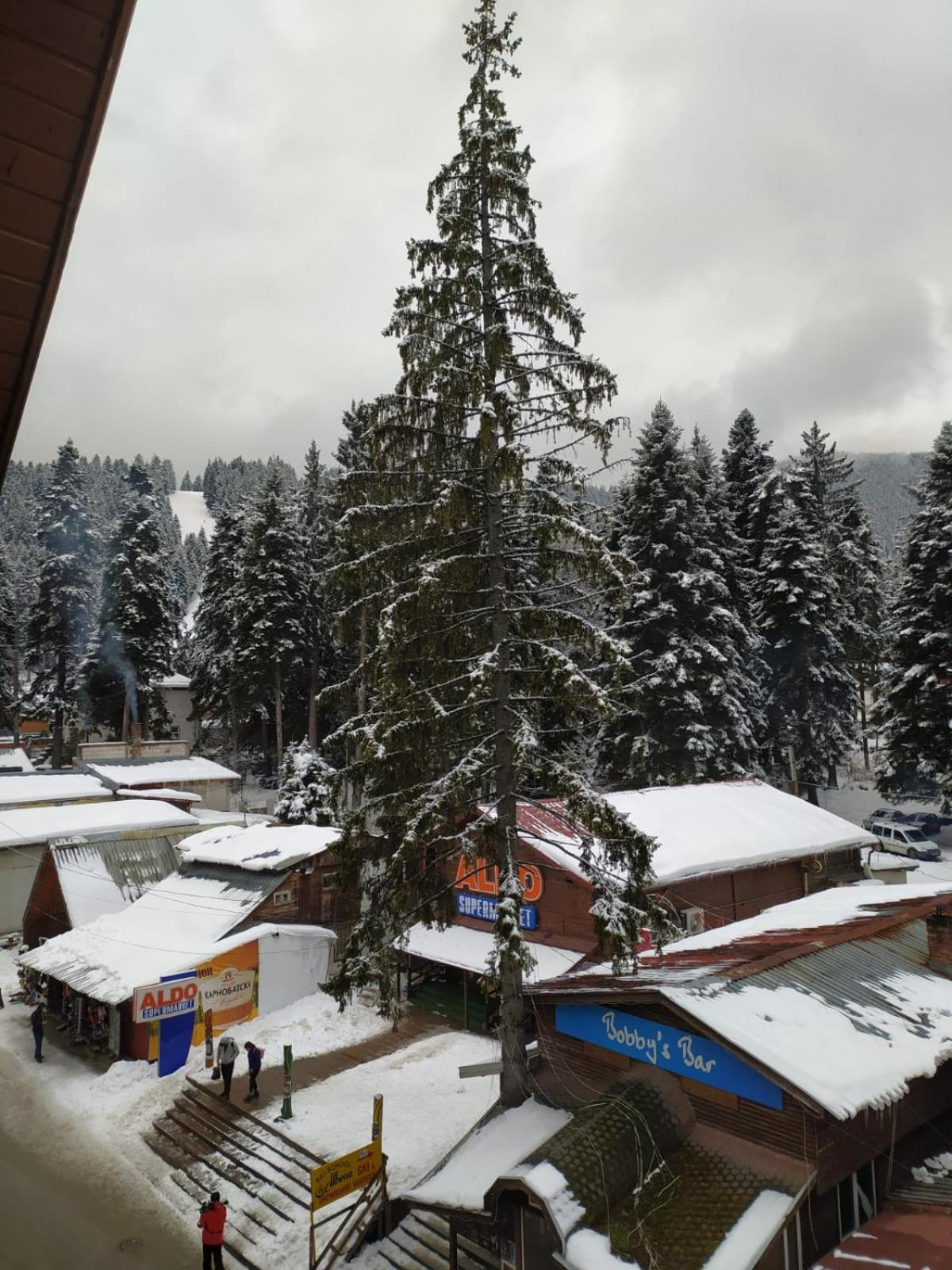 BOROVETS Royal Plaza - A405
