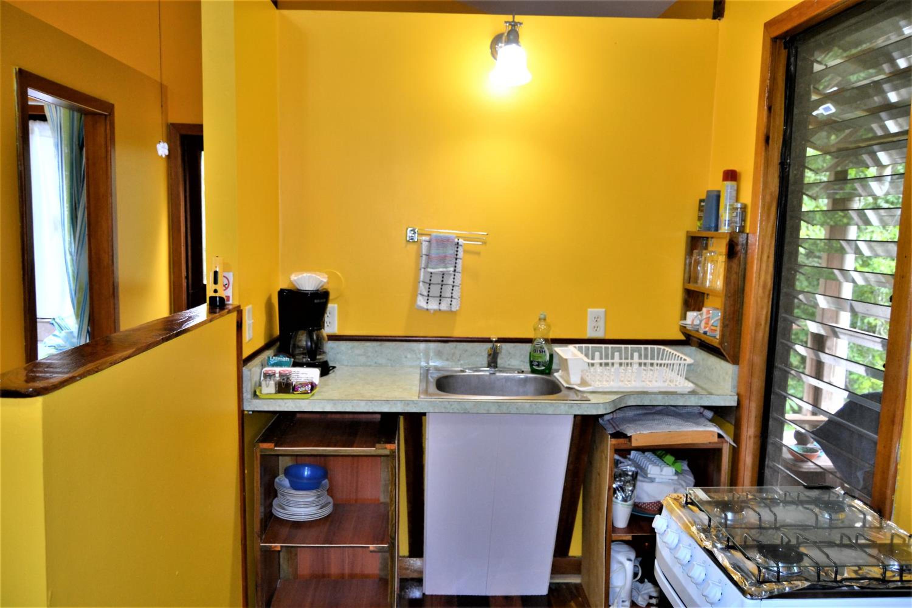 Tree Top Tropical Oasis in San Ignacio - Your Home Away from Home in The Trees