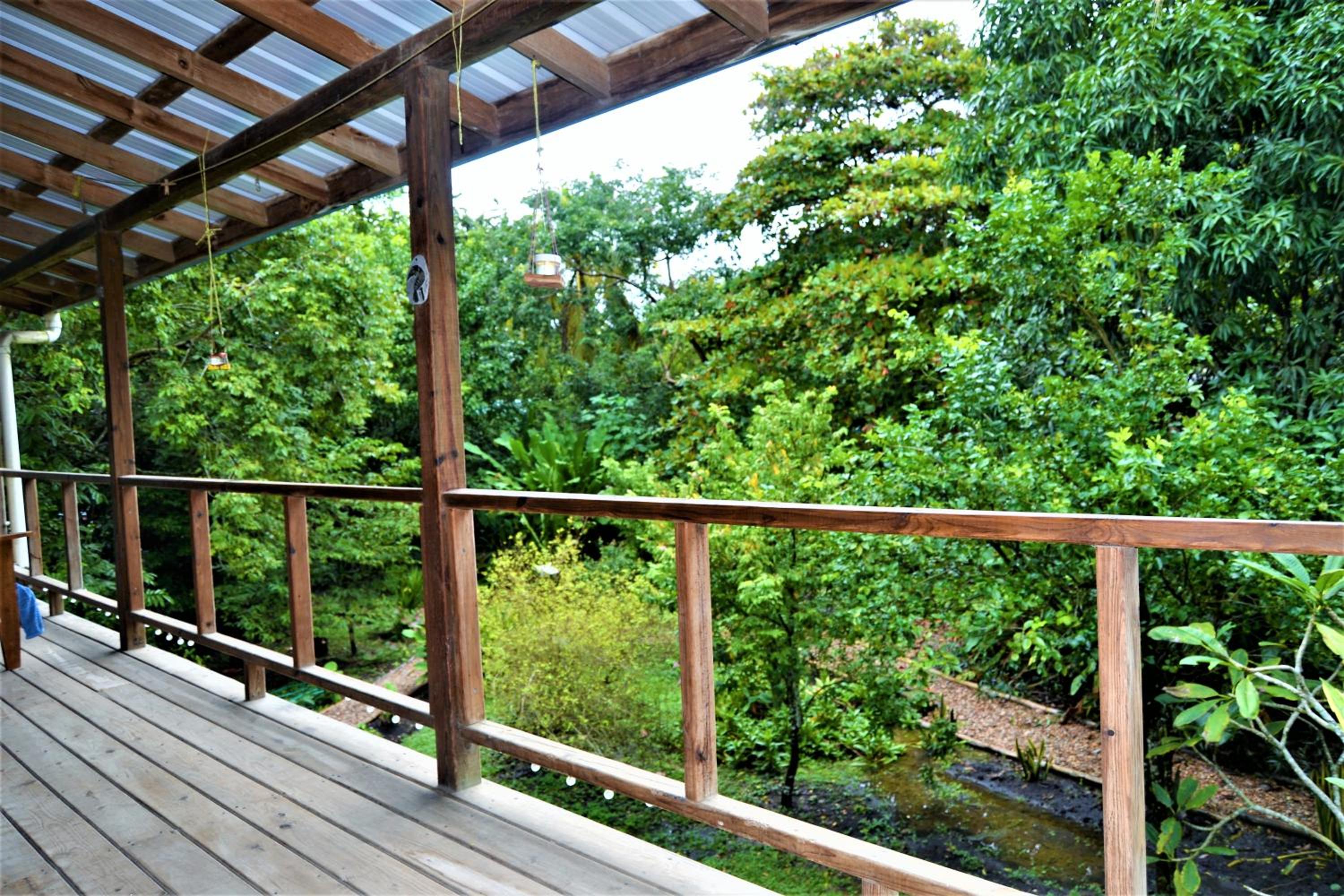 Belize Vacations - Sanpopo Tree Top Cottage - A Gold Standard Tourism Approved Vacation Home - Property Image 3