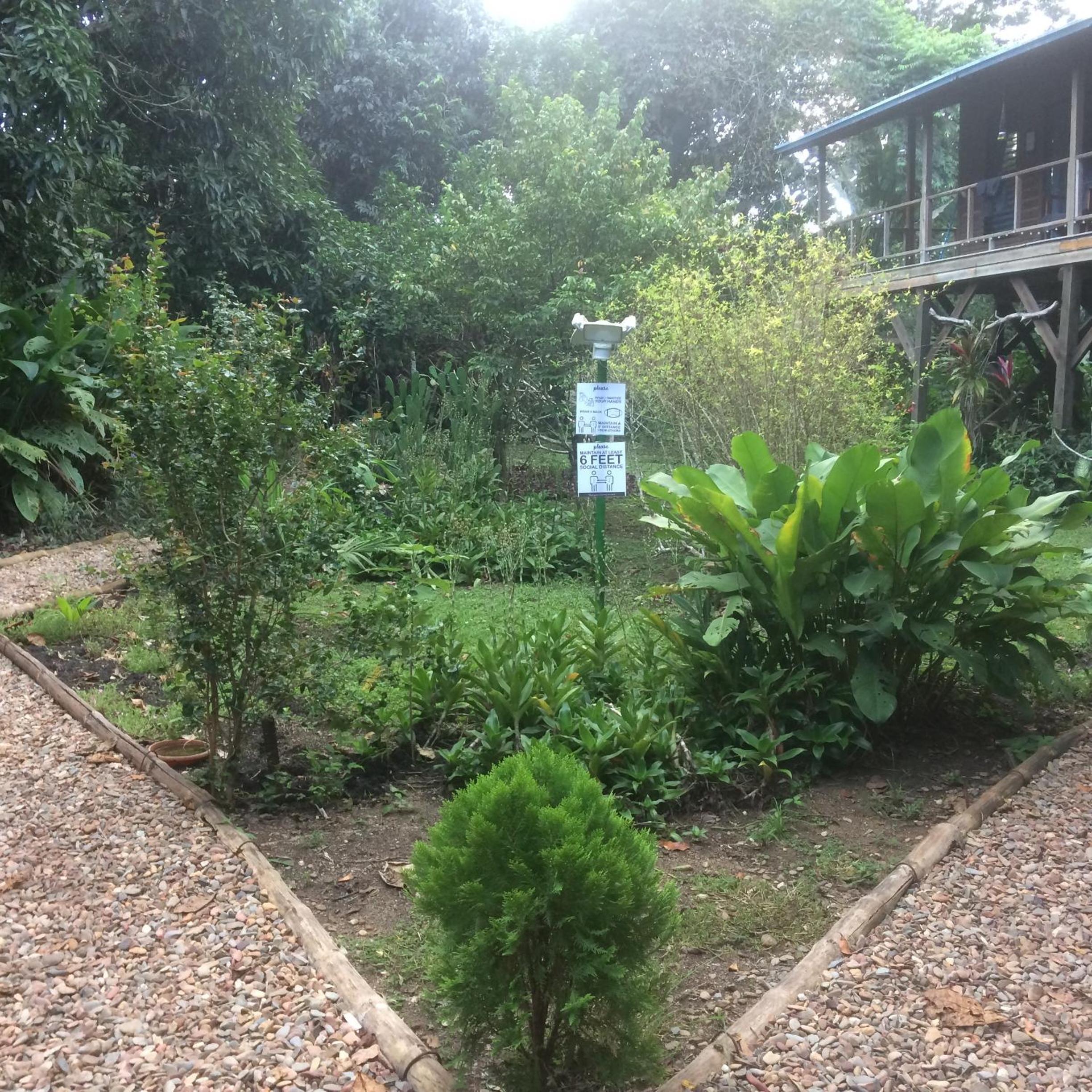 Tree Top Tropical Oasis in San Ignacio - Your Home Away from Home in The Trees