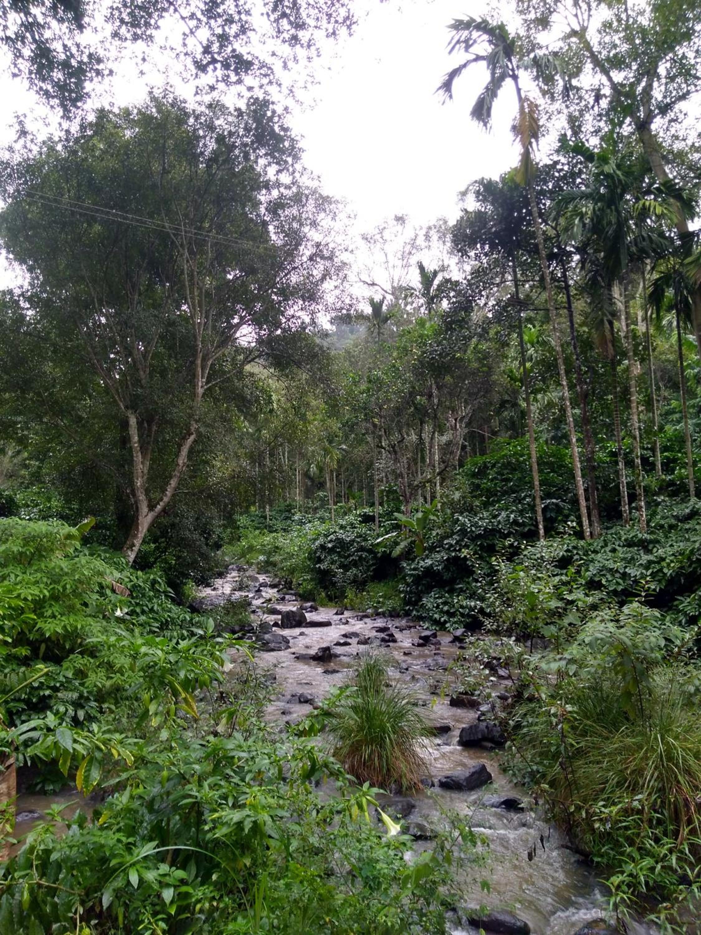 Siderbhan Homestay
