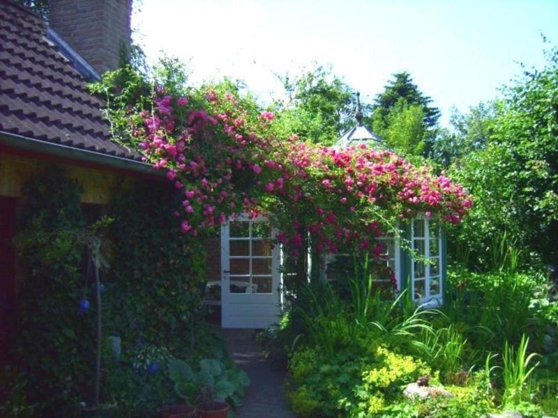 Ferienwohnung Diena - Unterkunft mit toller Ausstattung und zwei Terrassen view 3