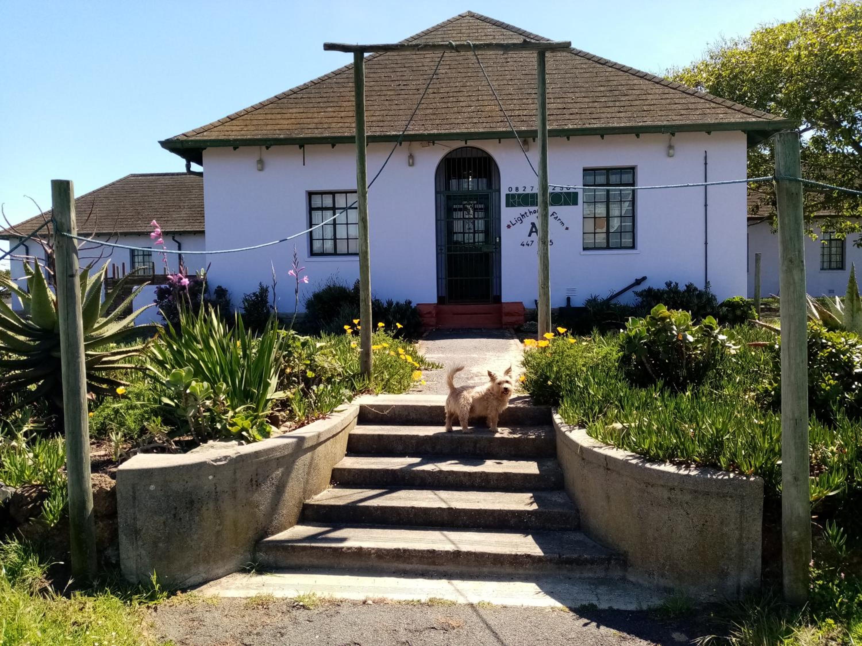 Lighthouse Farm Backpackers Lodge