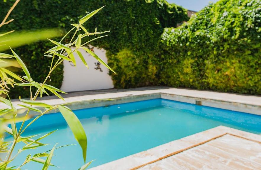 Casa Martha Suites
