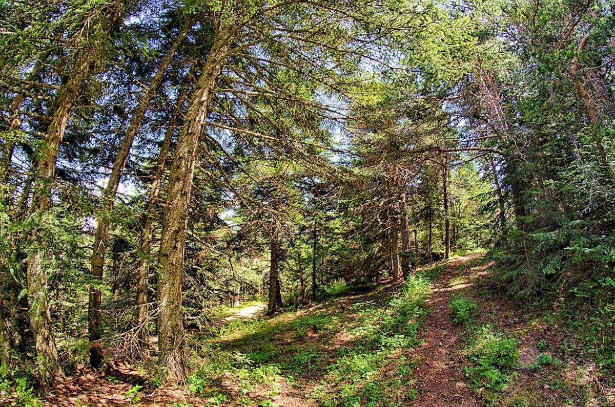 Casetta Marì immersa in un vigneto photo 3