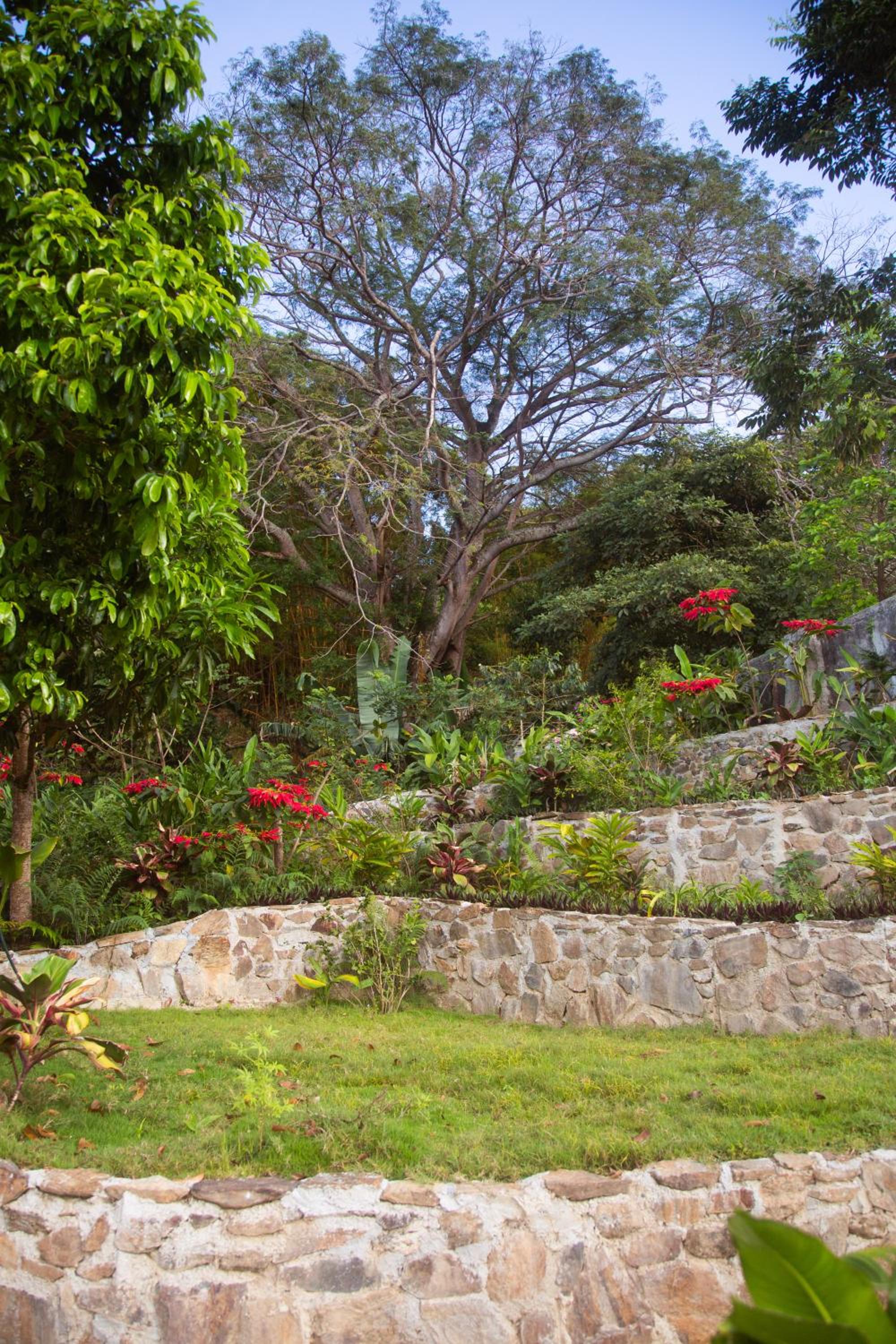 Mundo Nuevo ECO LODGE