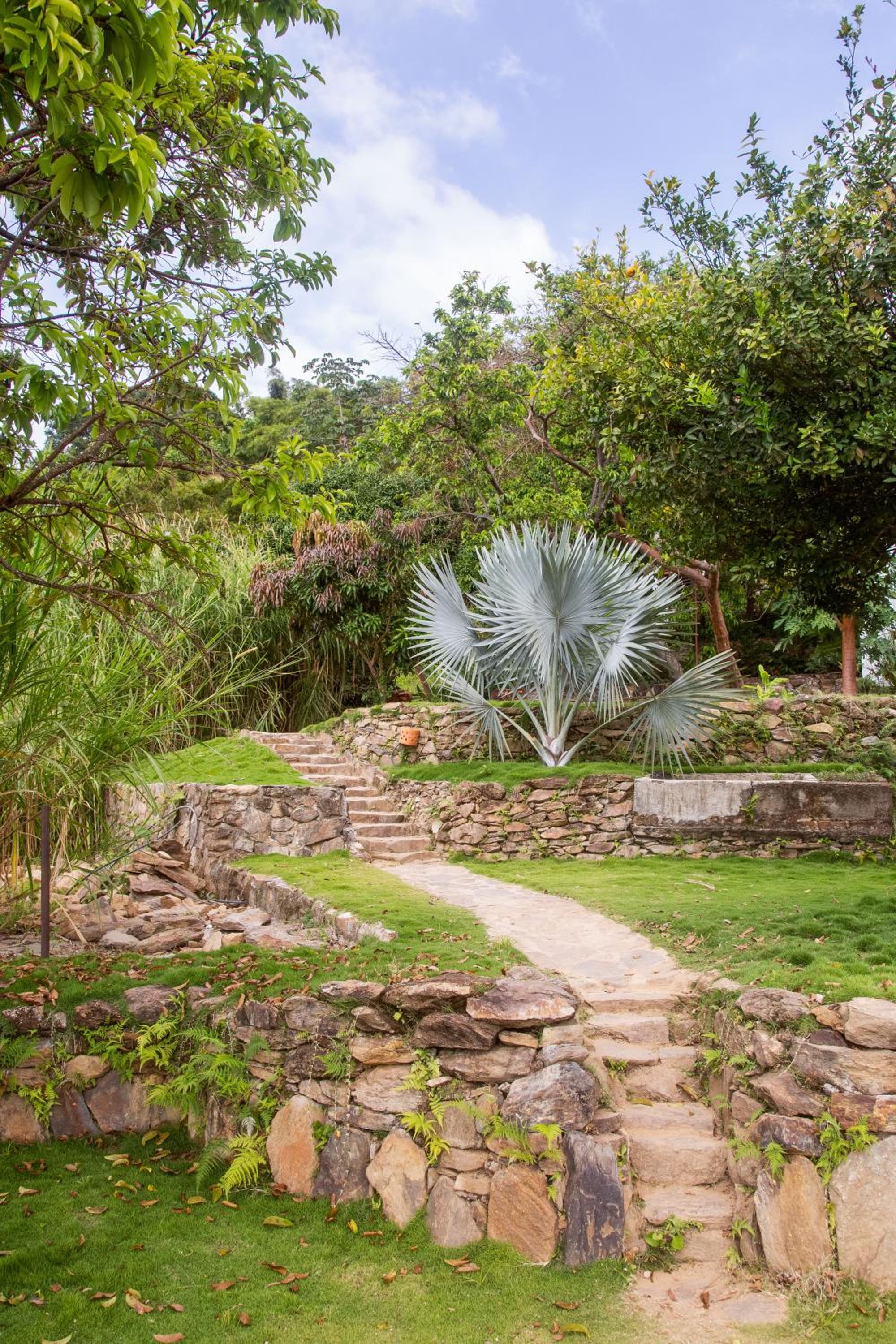 Mundo Nuevo ECO LODGE