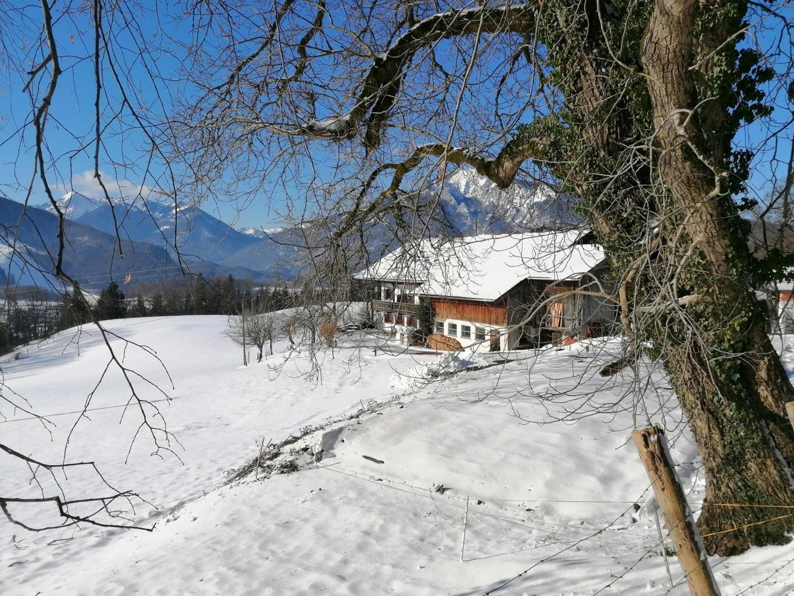 Photo 24