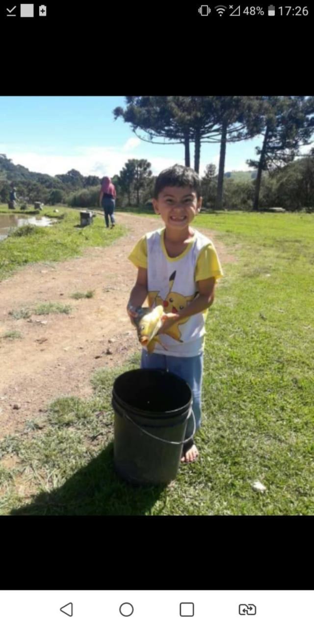 Sítio Rota das Araucárias