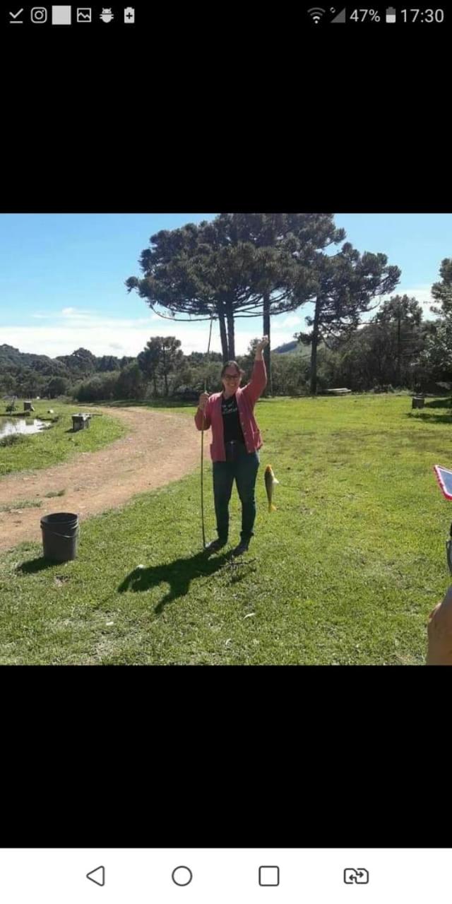 Sítio Rota das Araucárias