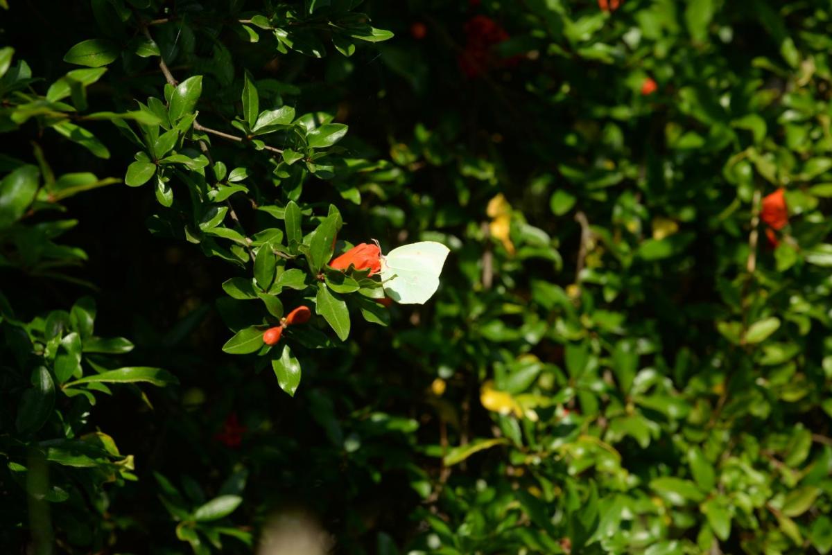 Photo 28
