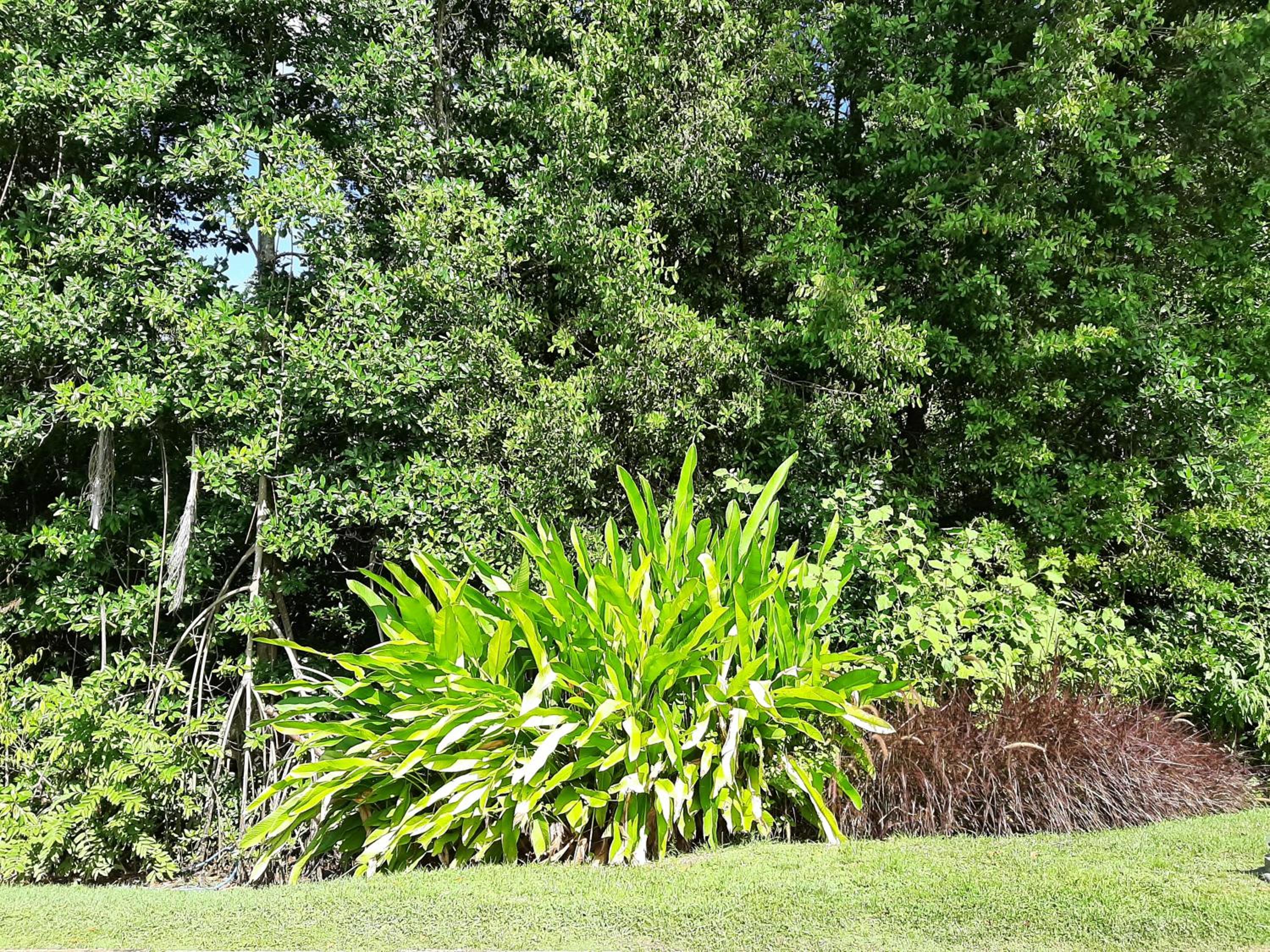 Photo 44