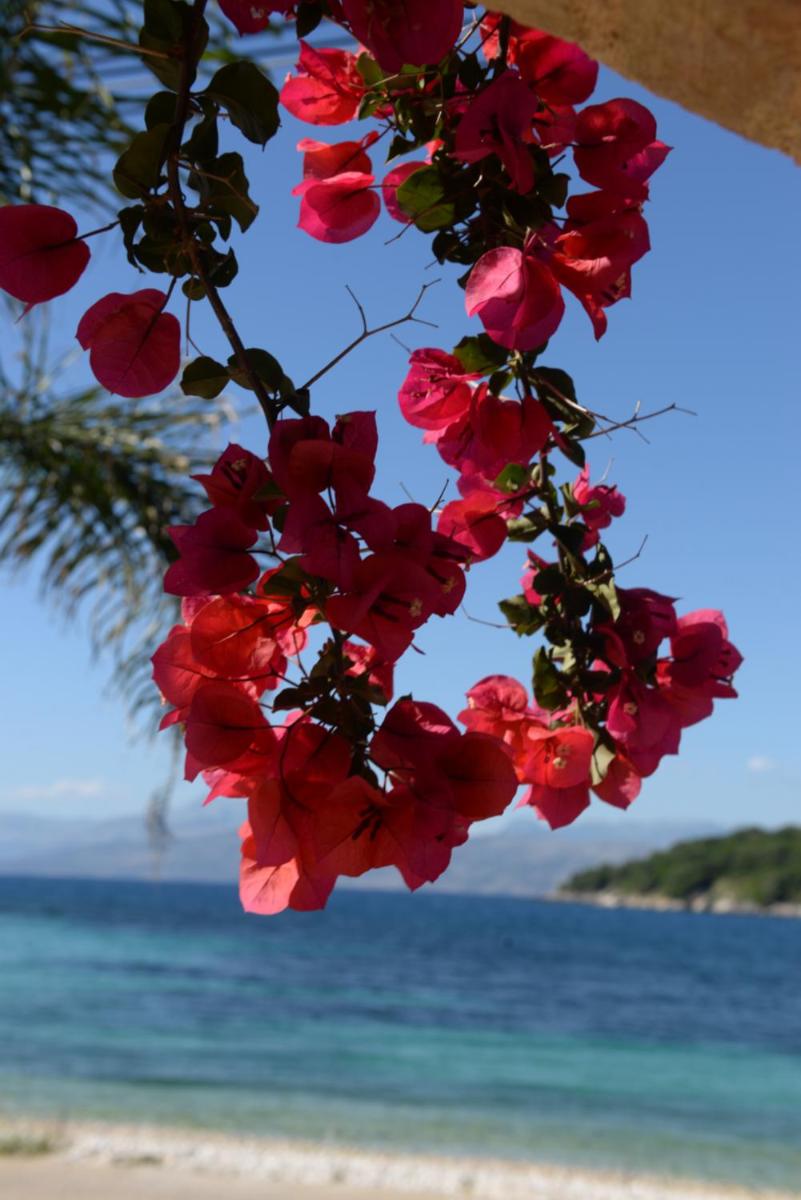 Villa Melanthi Kassiopi Corfu view 5