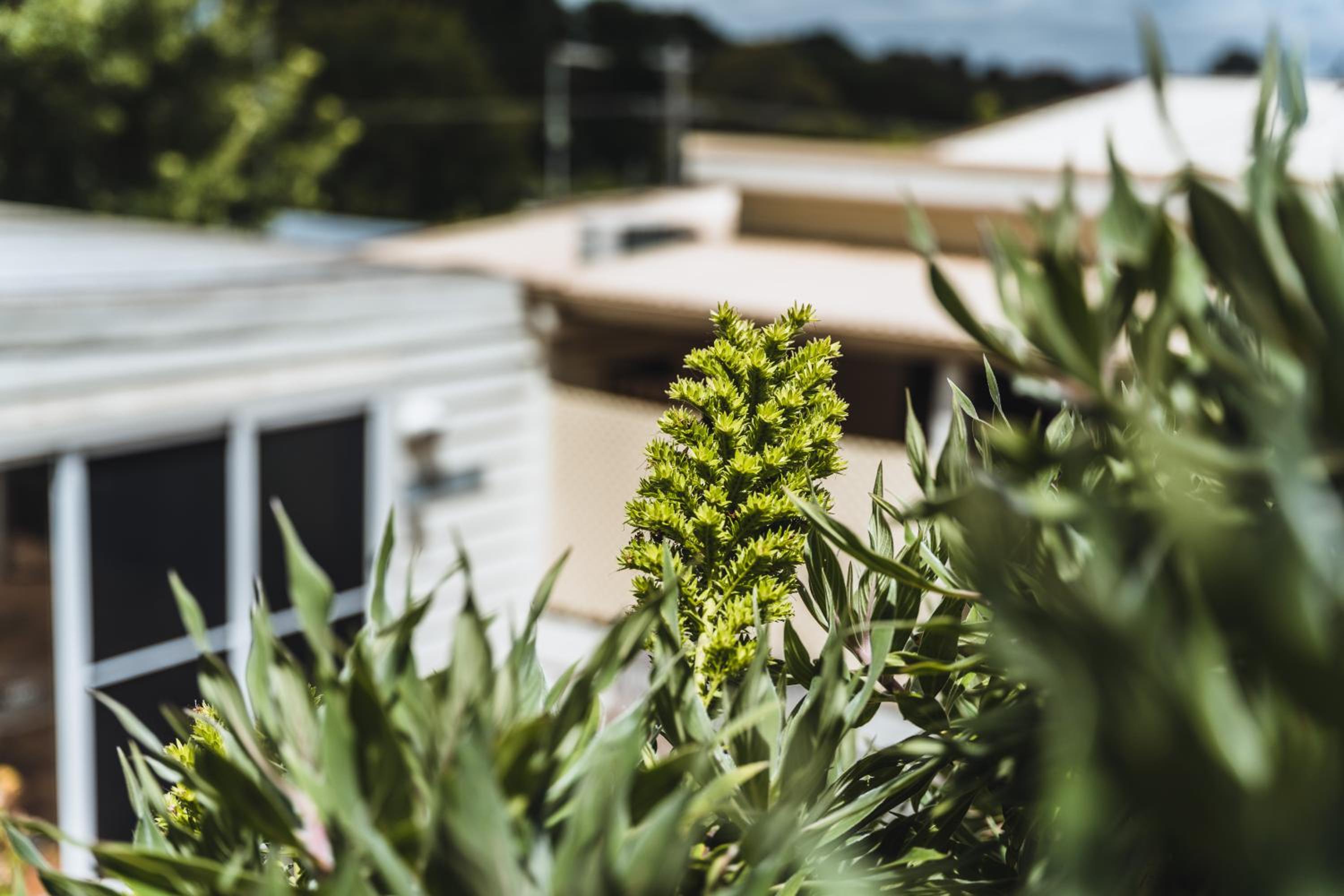 Daylesford Spa Accommodation