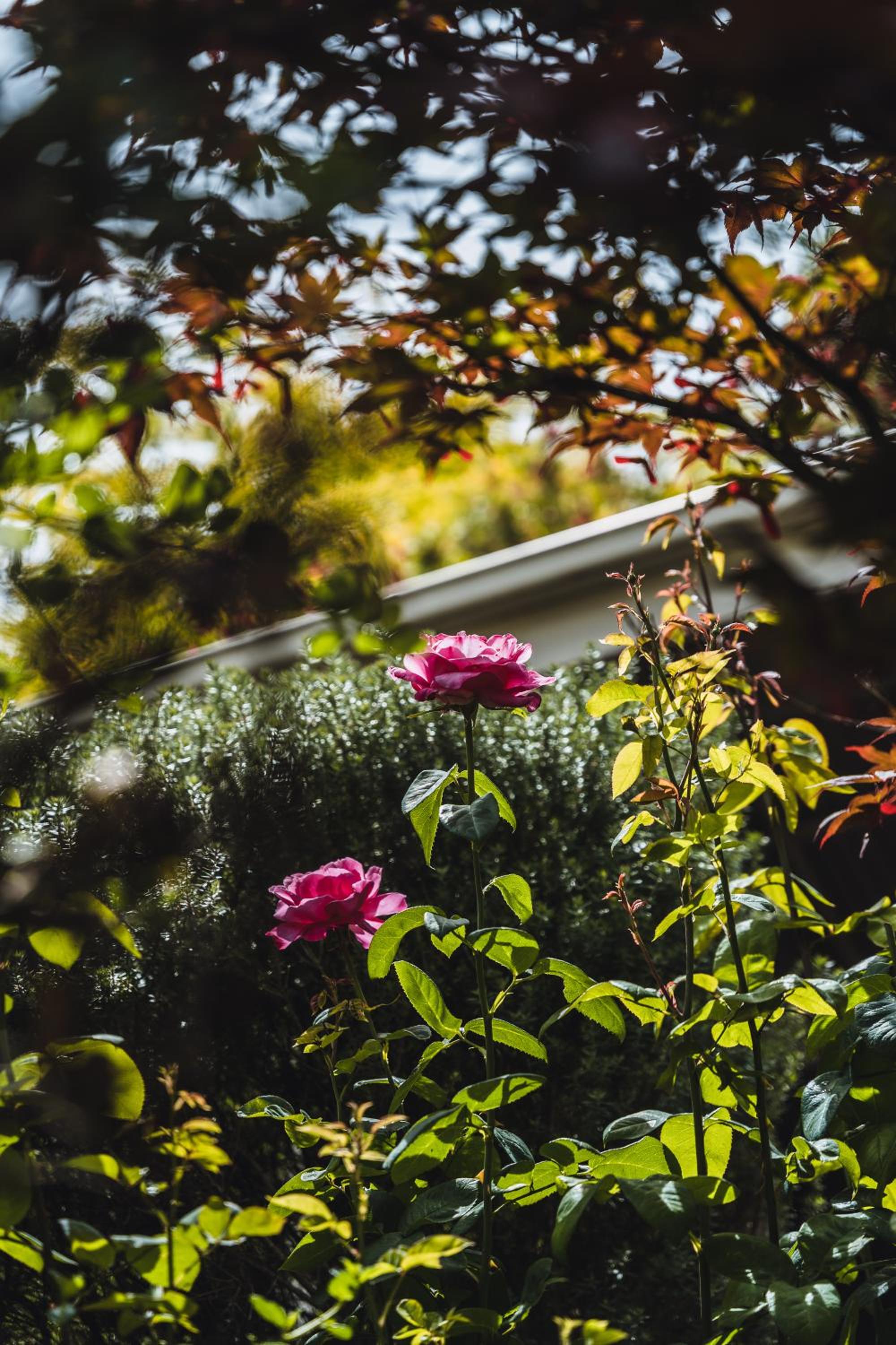 Daylesford Spa Accommodation