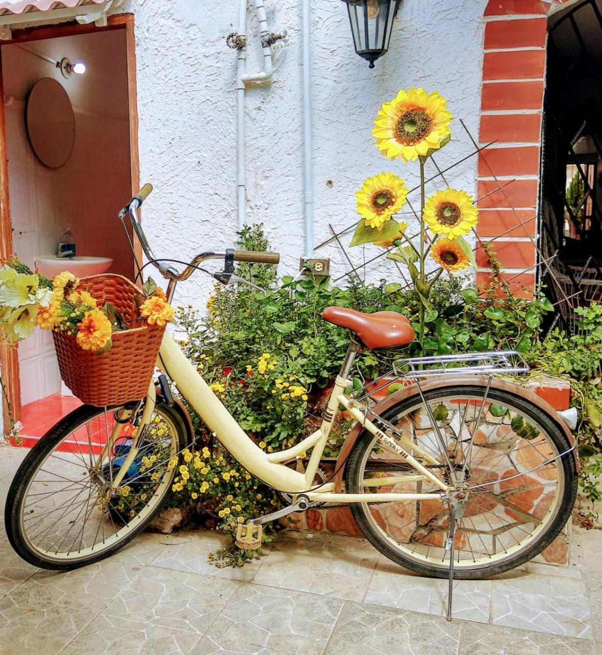 Hostal Solsticio Guajiro