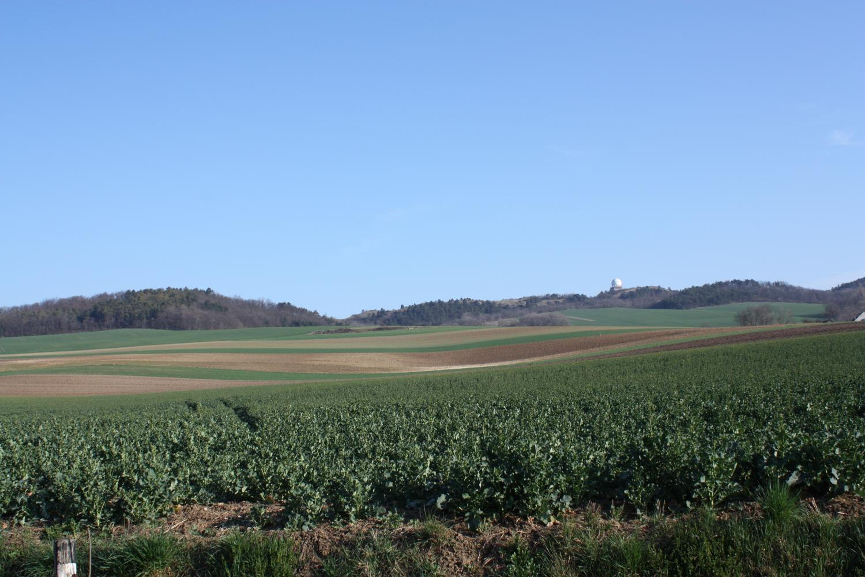 Zantnhof