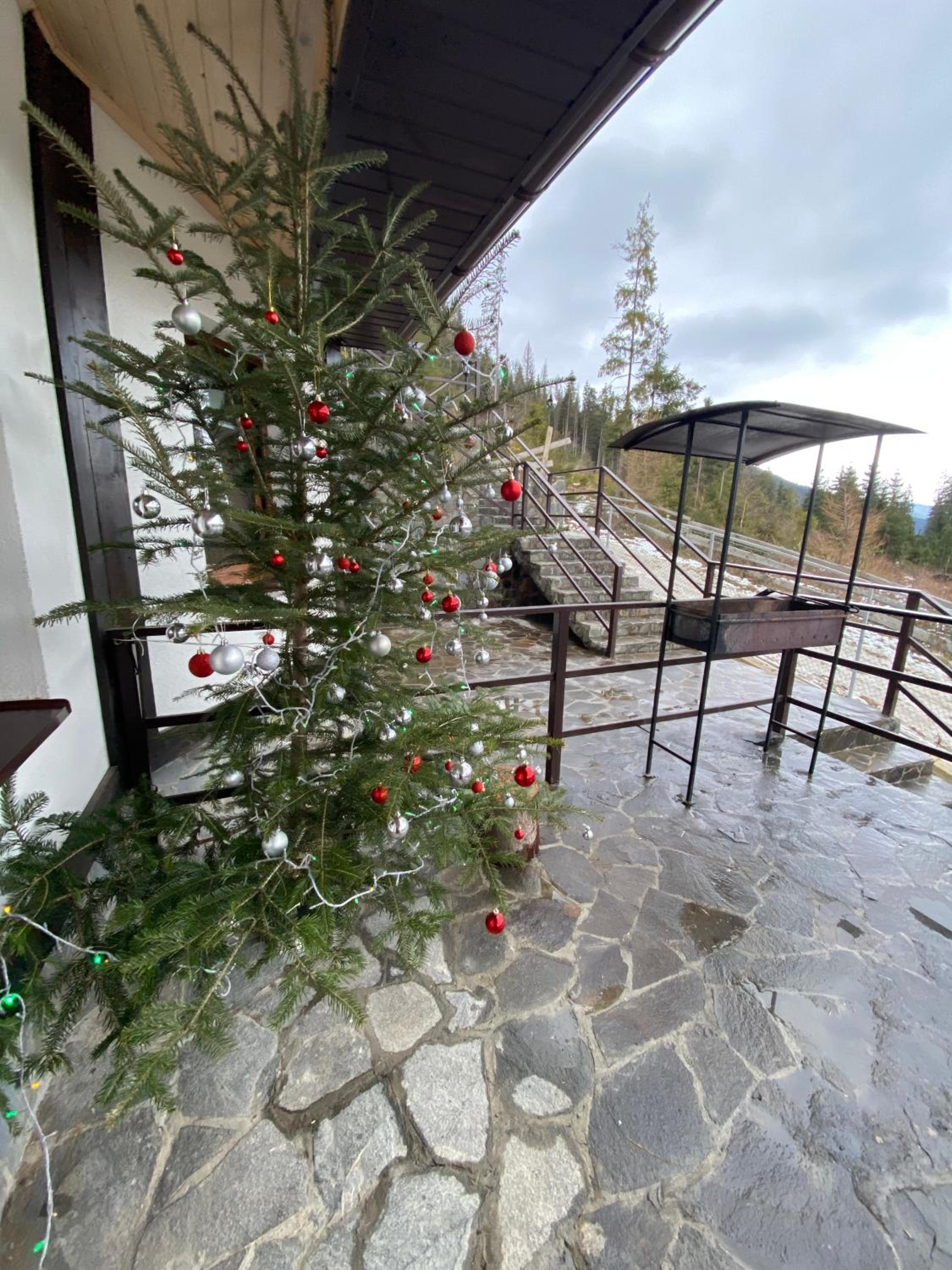 Photo 6