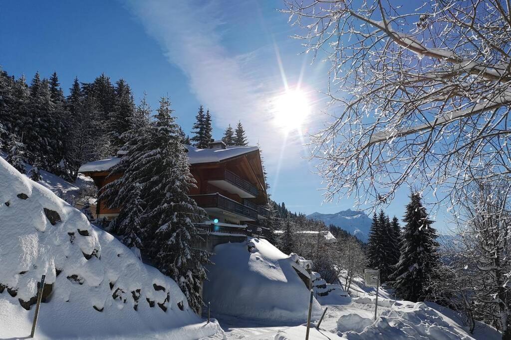 Cozy apartment with stunning view! Ski-in/ski-out.