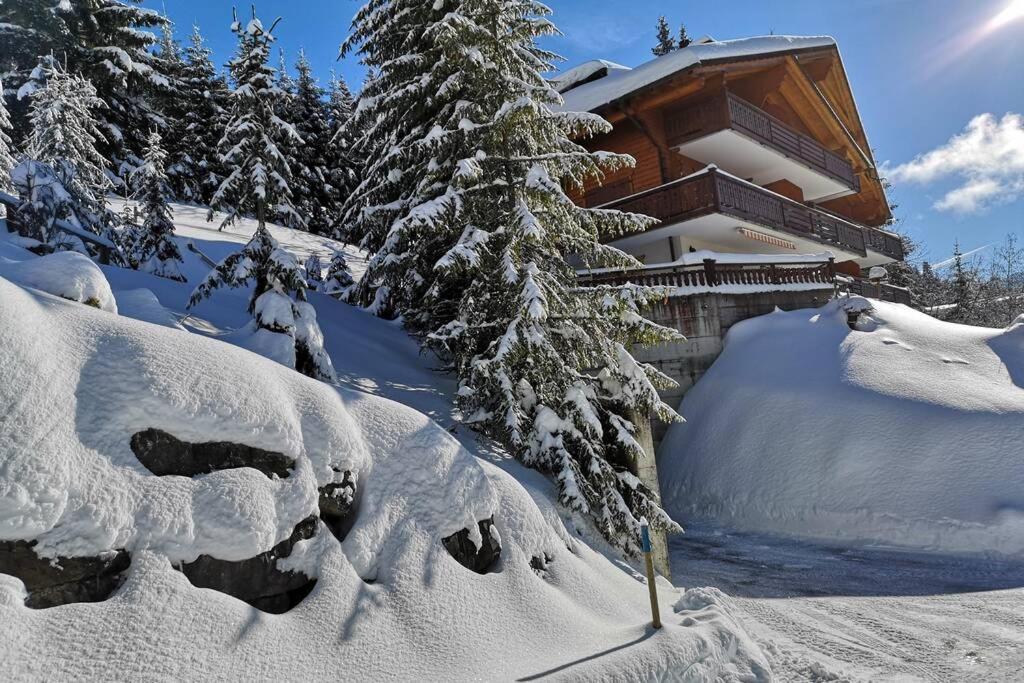 Cozy apartment with stunning view! Ski-in/ski-out.