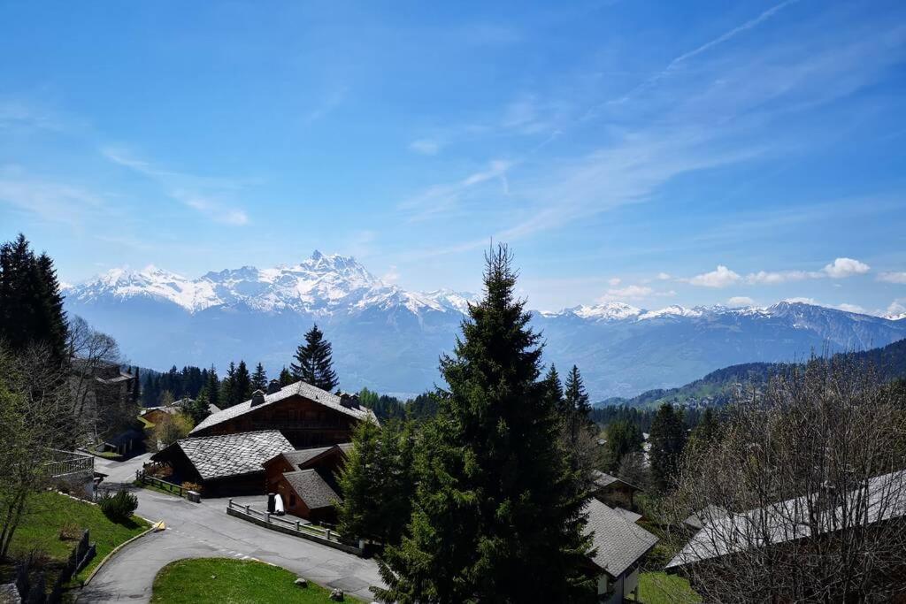 Cozy apartment with stunning view! Ski-in/ski-out.