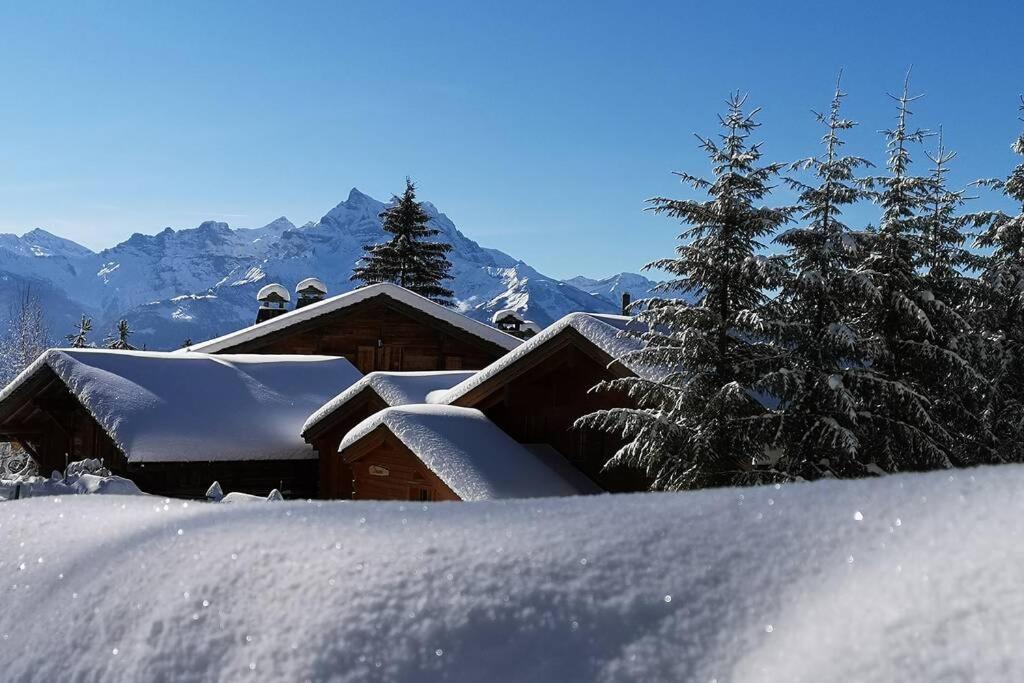 Cozy apartment with stunning view! Ski-in/ski-out.