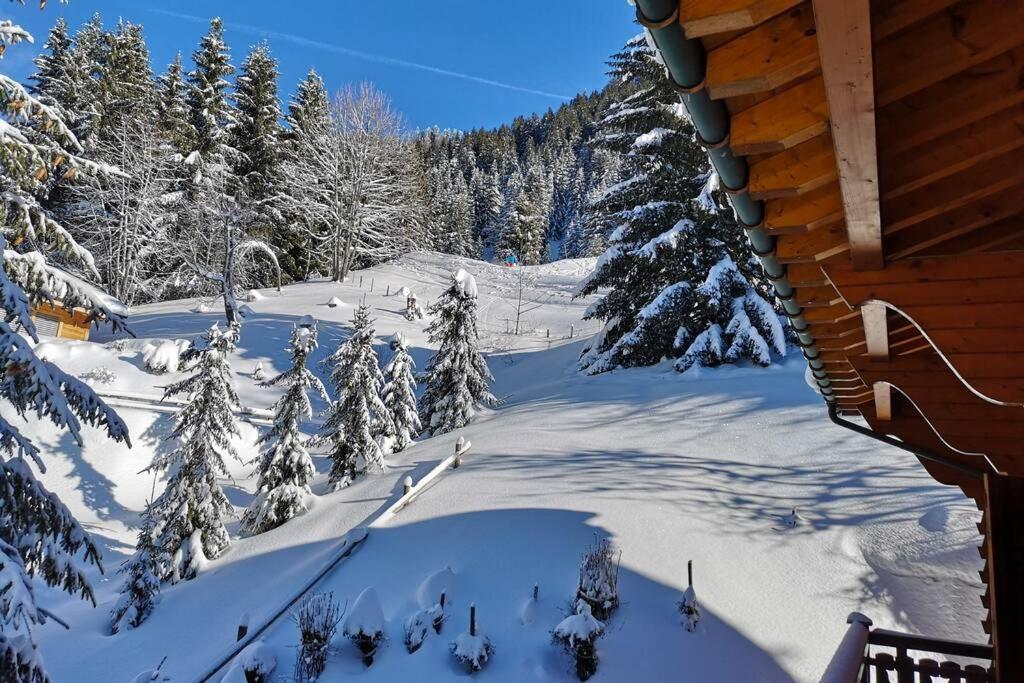 Cozy apartment with stunning view! Ski-in/ski-out.
