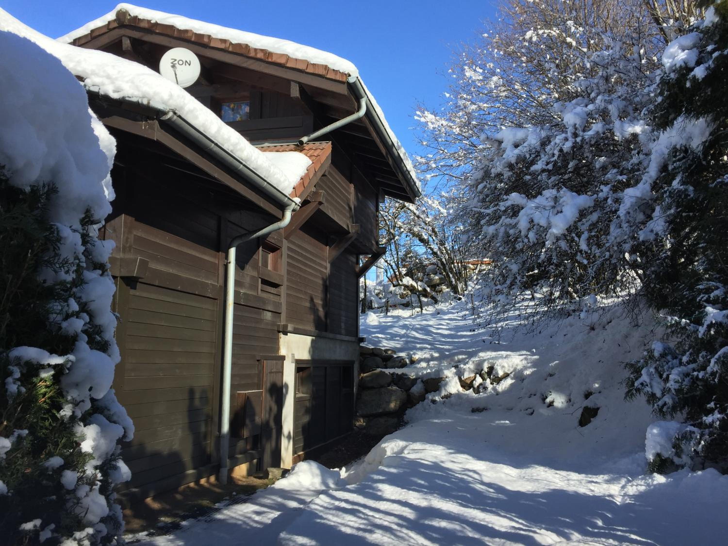 Chalet Le Grand Paddock view 4