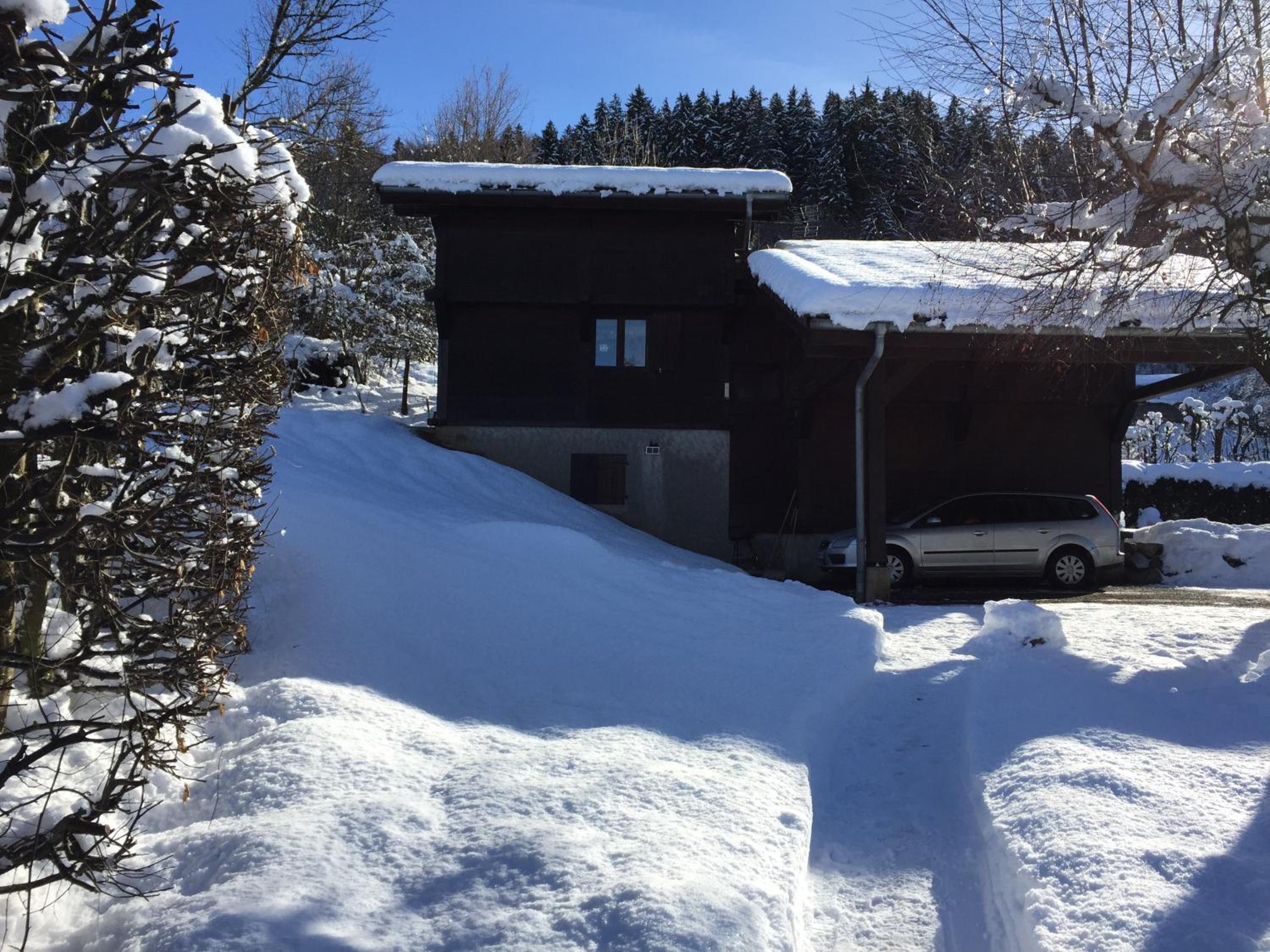 Chalet Le Grand Paddock view 5