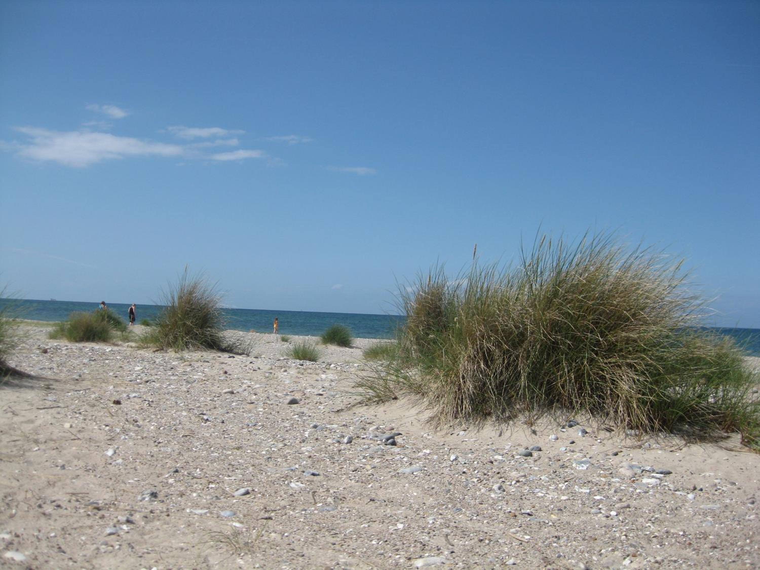 Photo 28