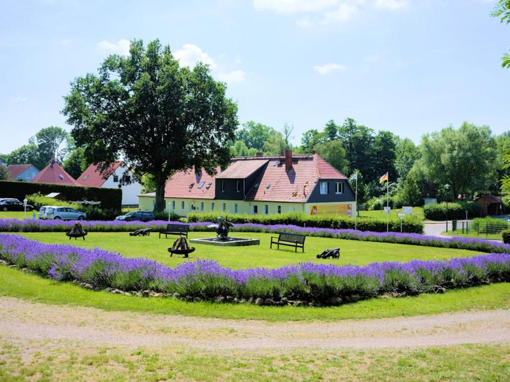 Ostsee-Gutshaus Am Salzhaff Pepelow nähe Rerik- am Meer residieren!