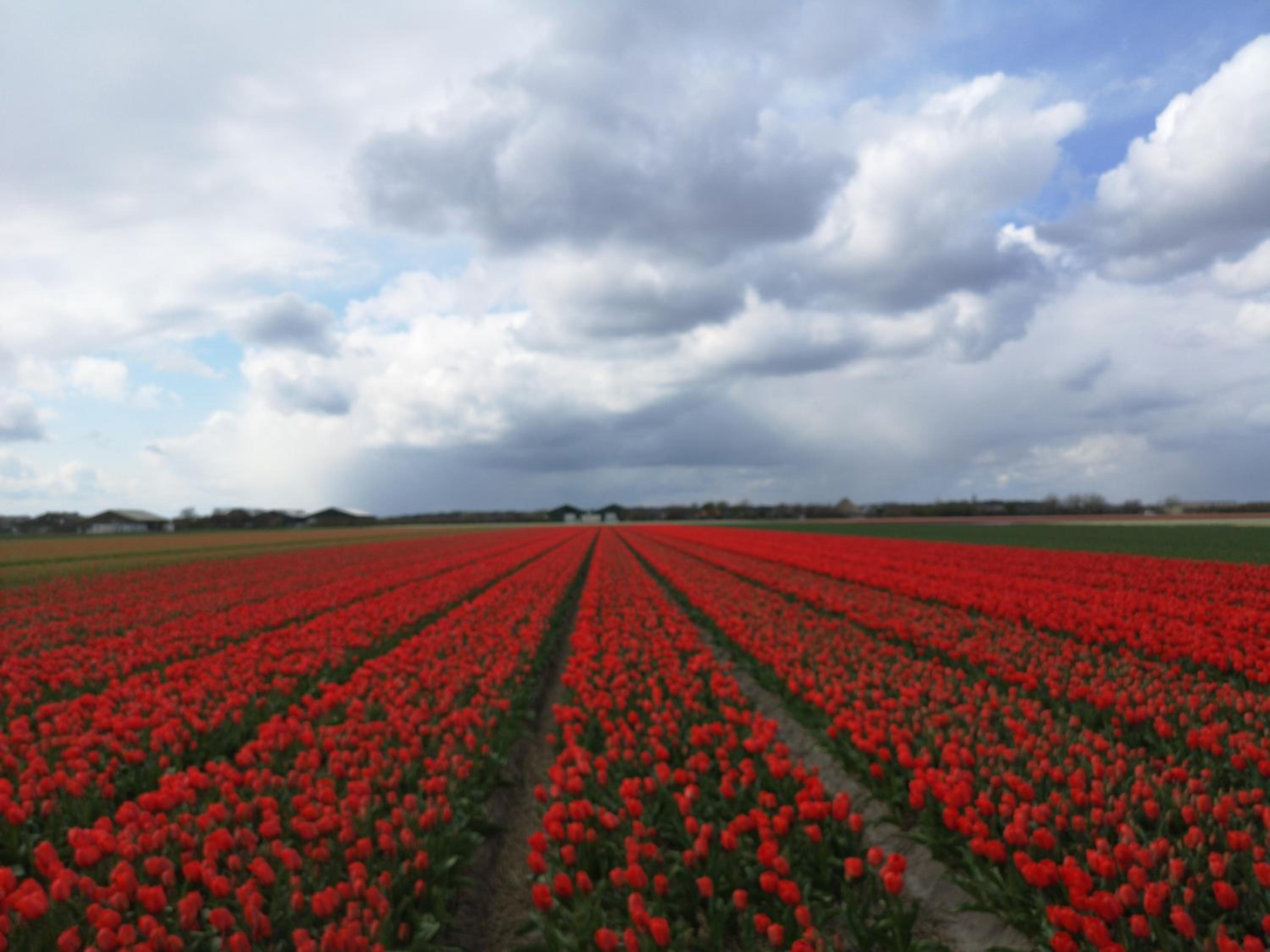 Photo 33