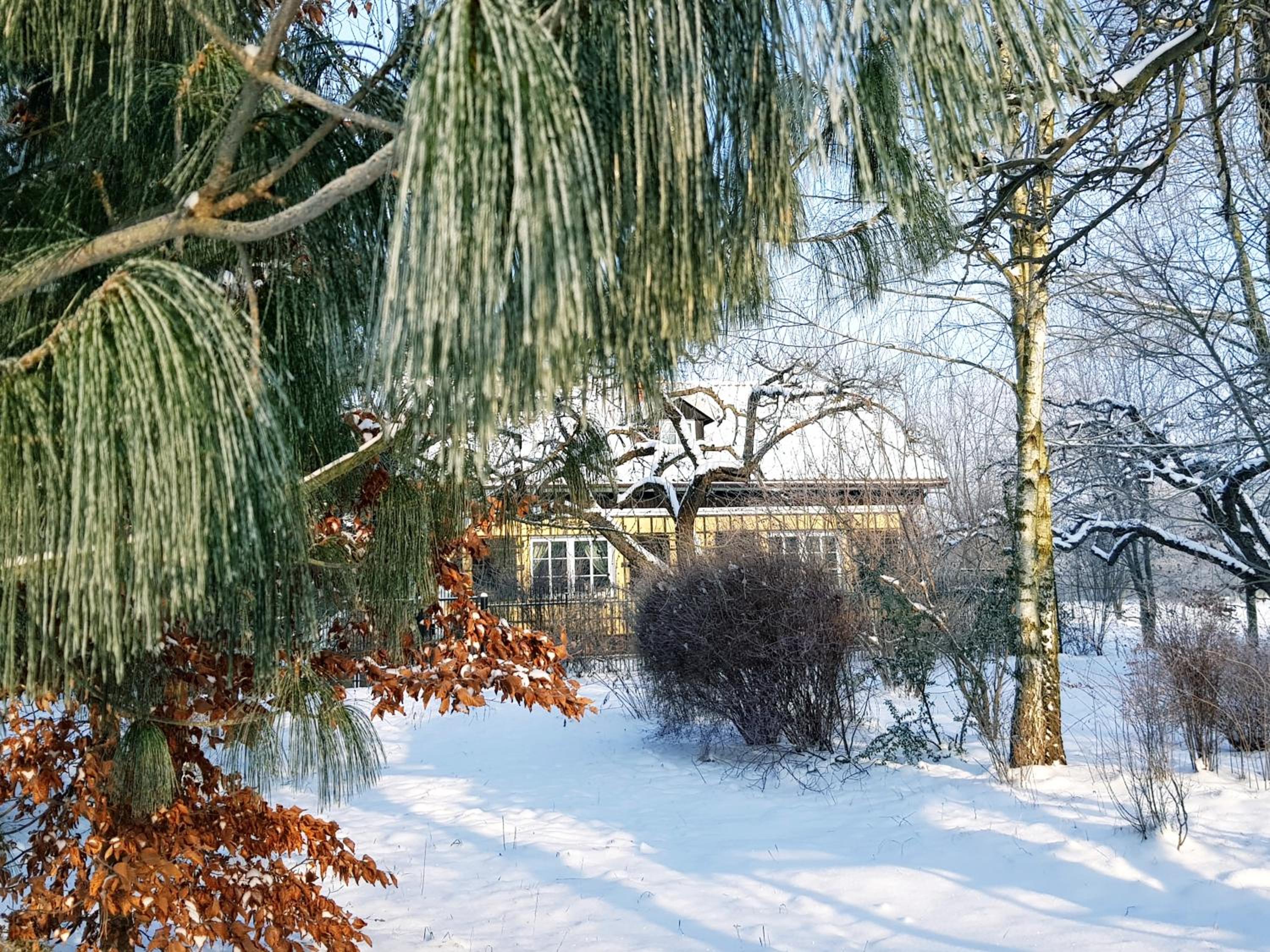 Photo 22