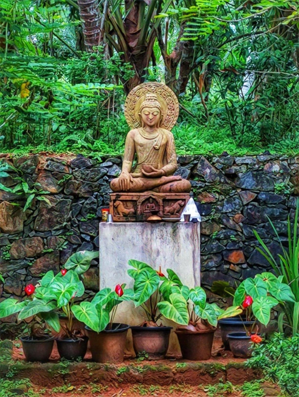 Photo 46