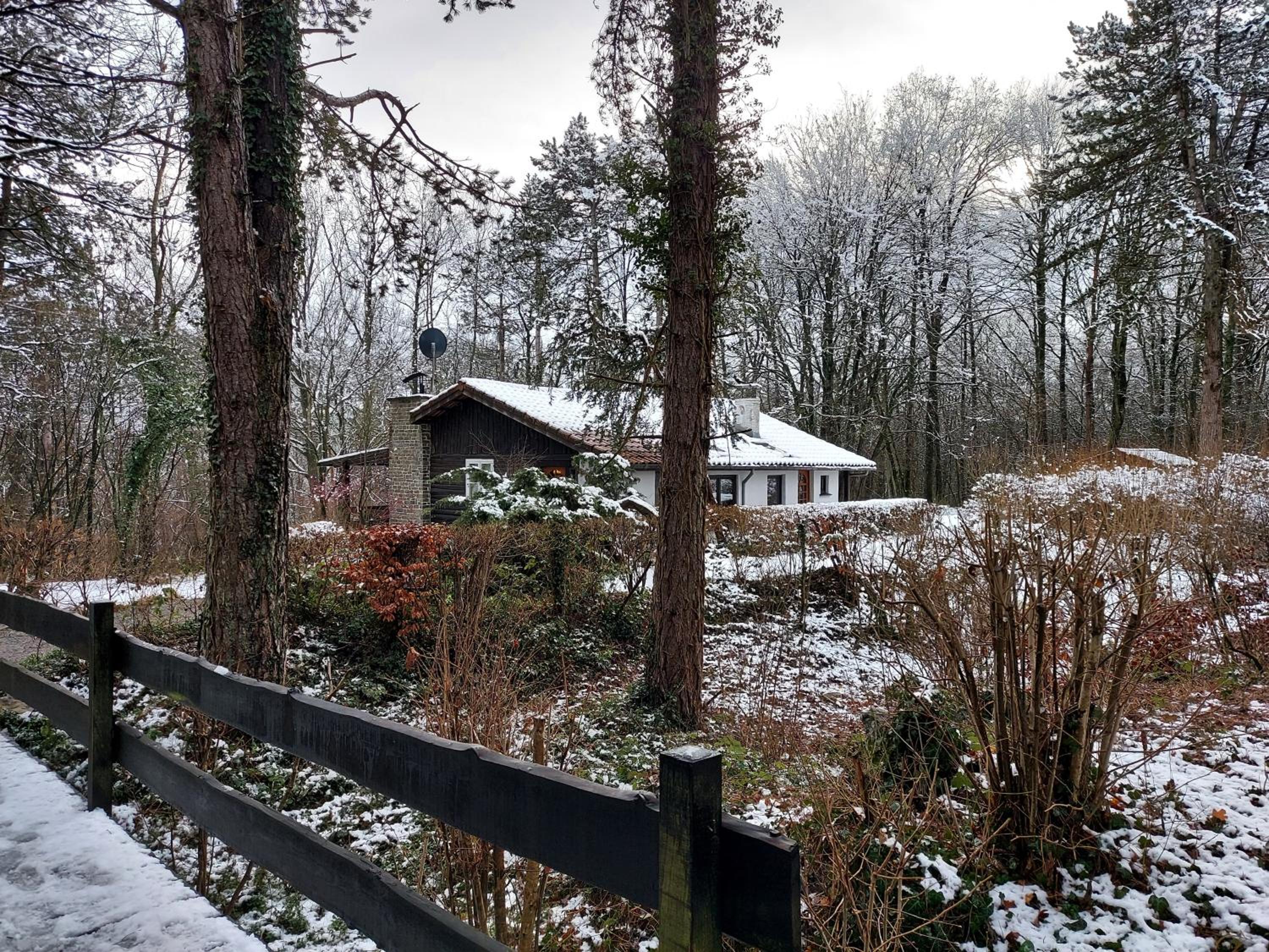 Chalet des pins d'Autriche view 2