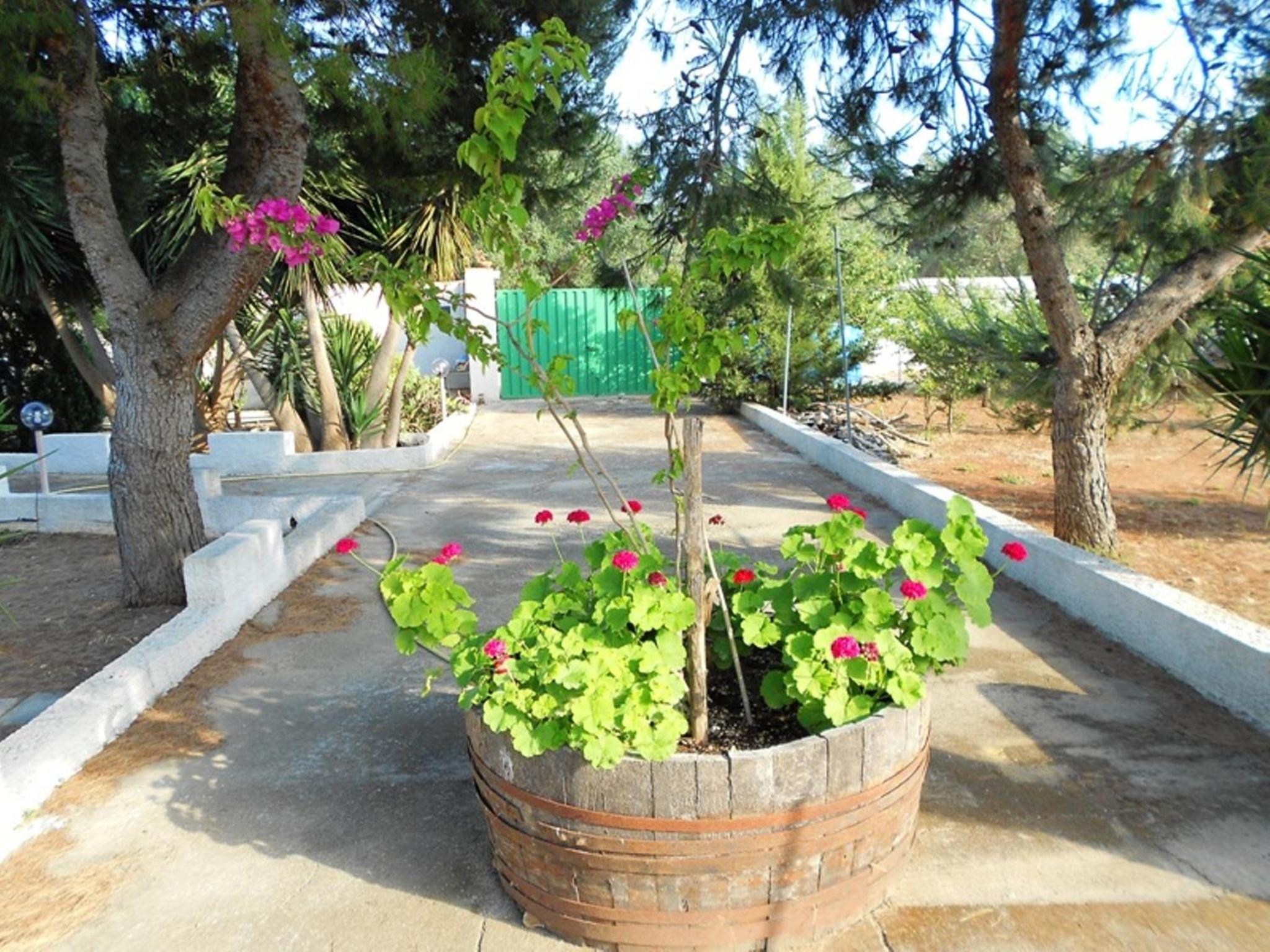 Agriturismo Calamate