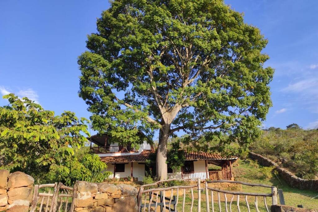 Casa Ceiba de Mirabel-Barichara