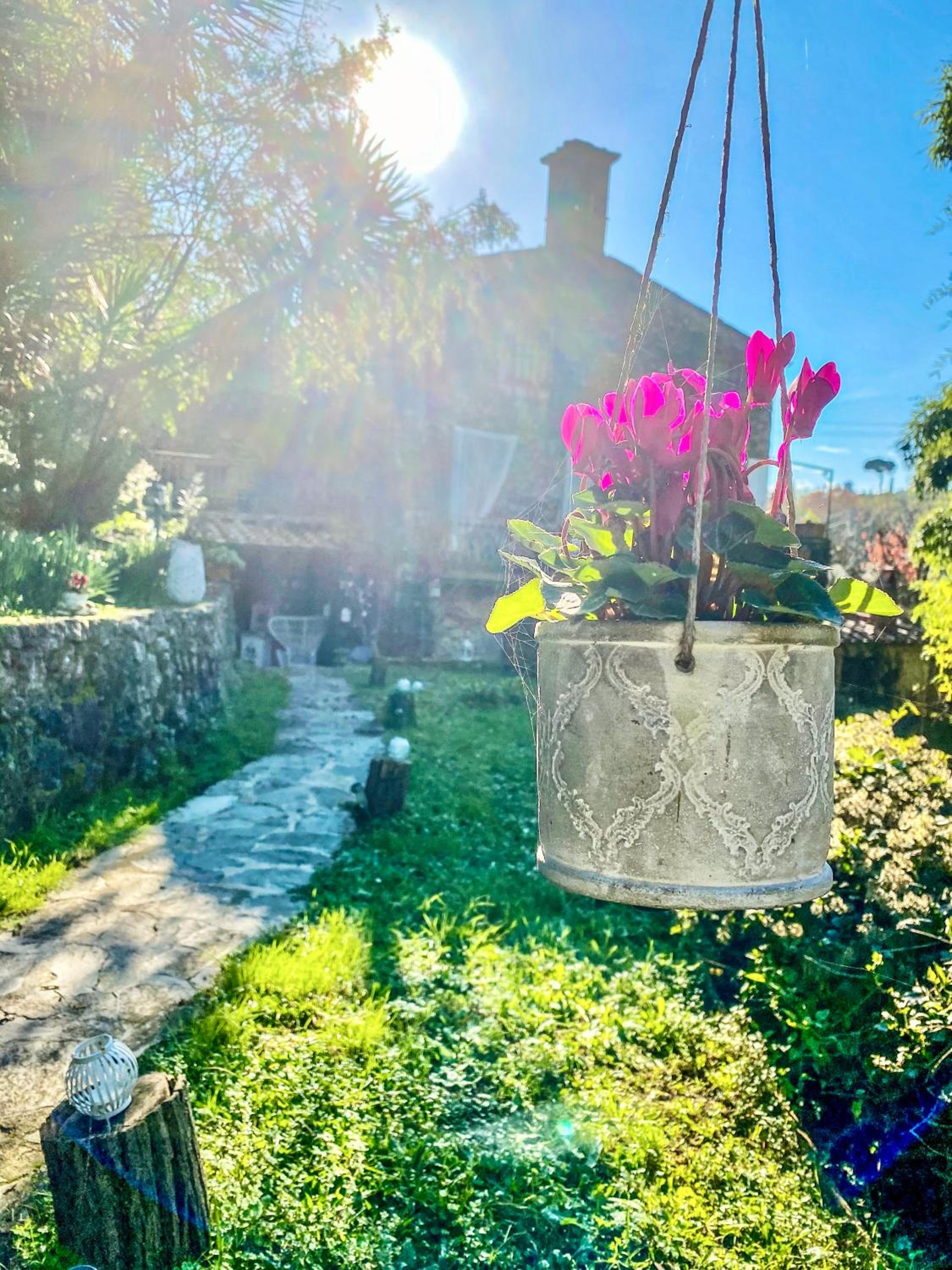 Guest House Antico Frantoio Pietrasanta Affittacamere