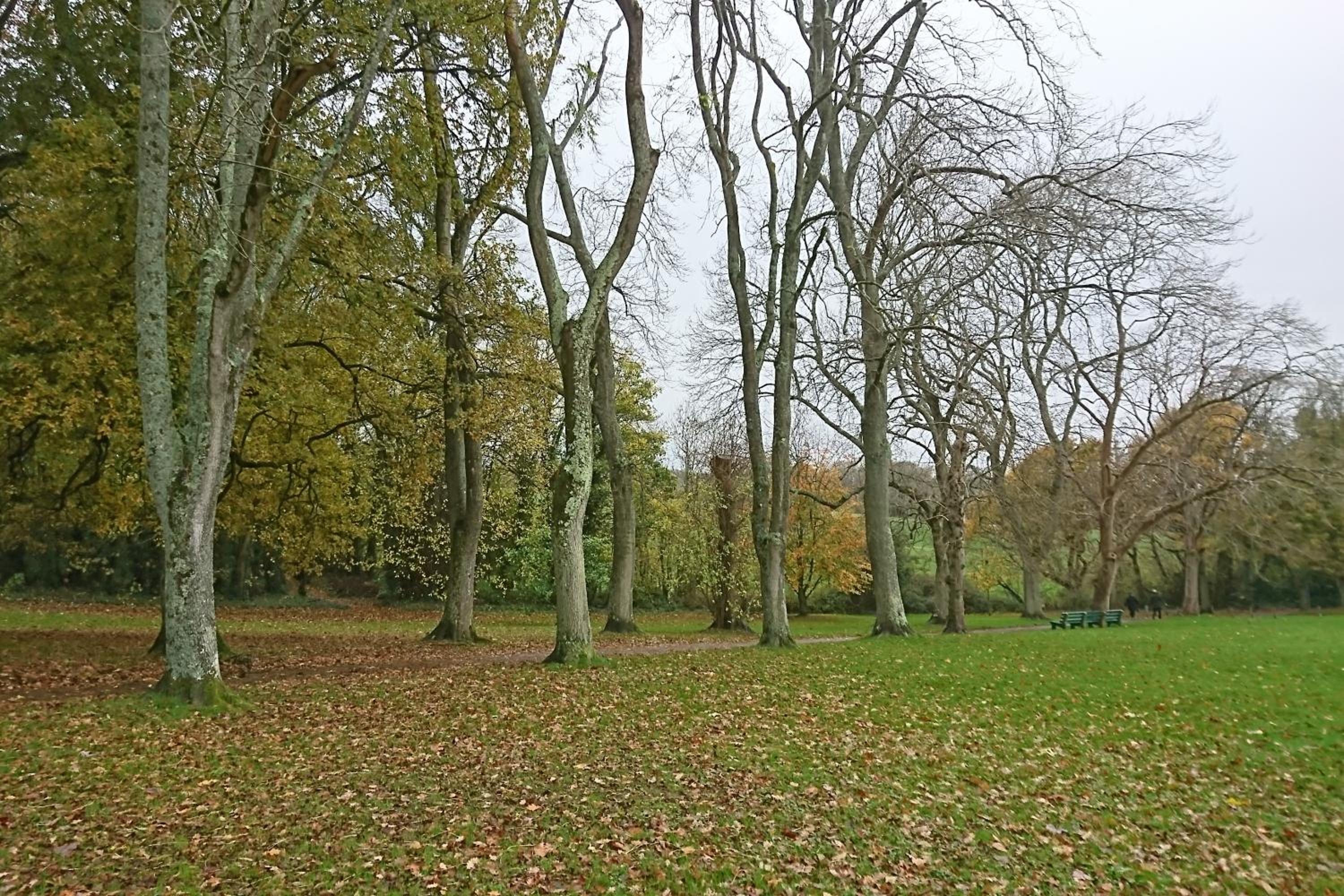 Photo 20