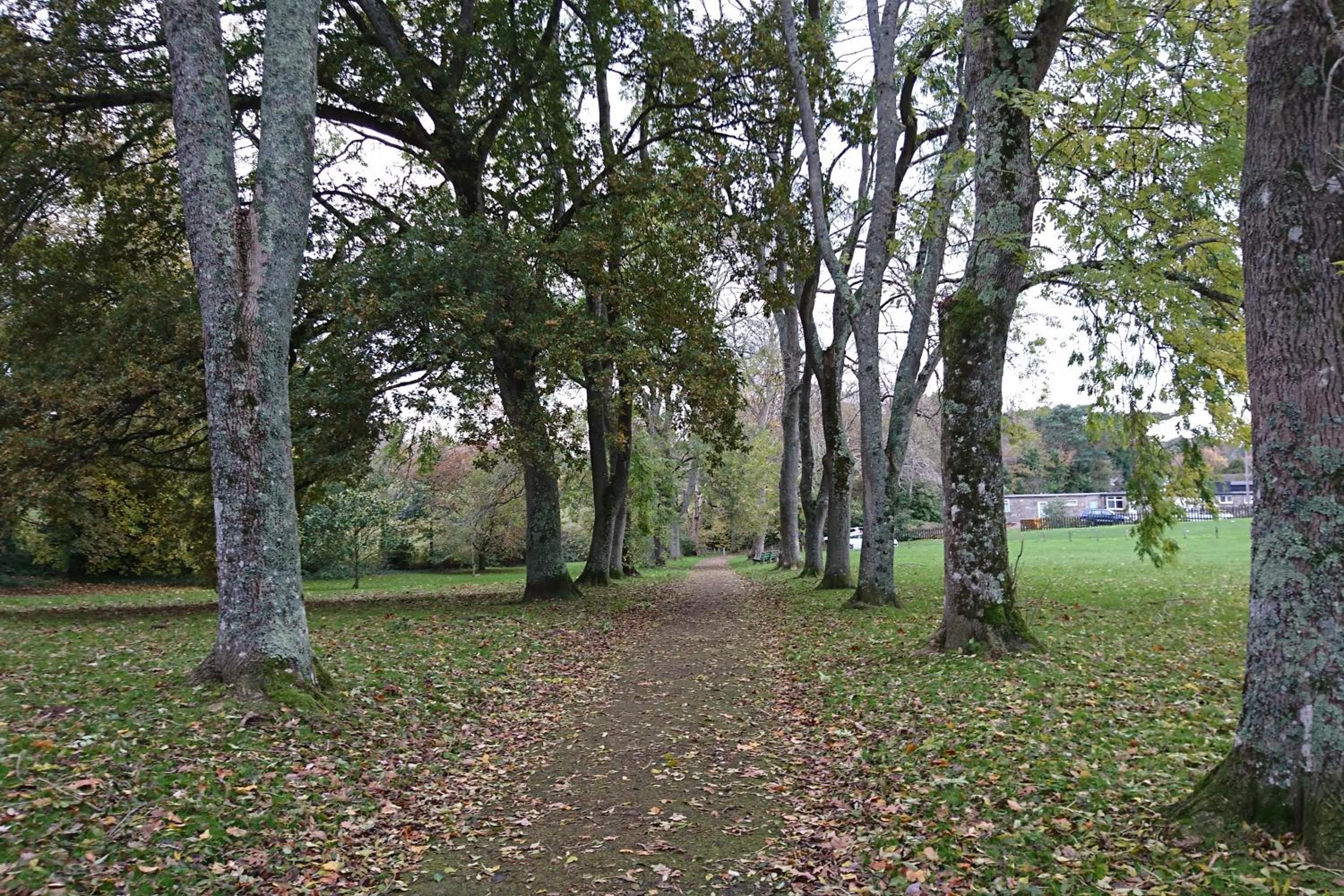 Photo 25