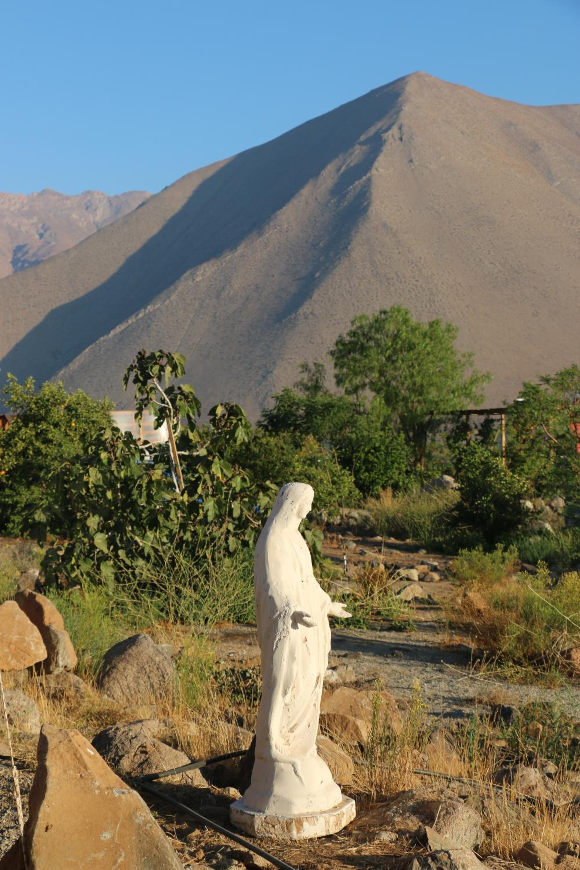 Photo 43
