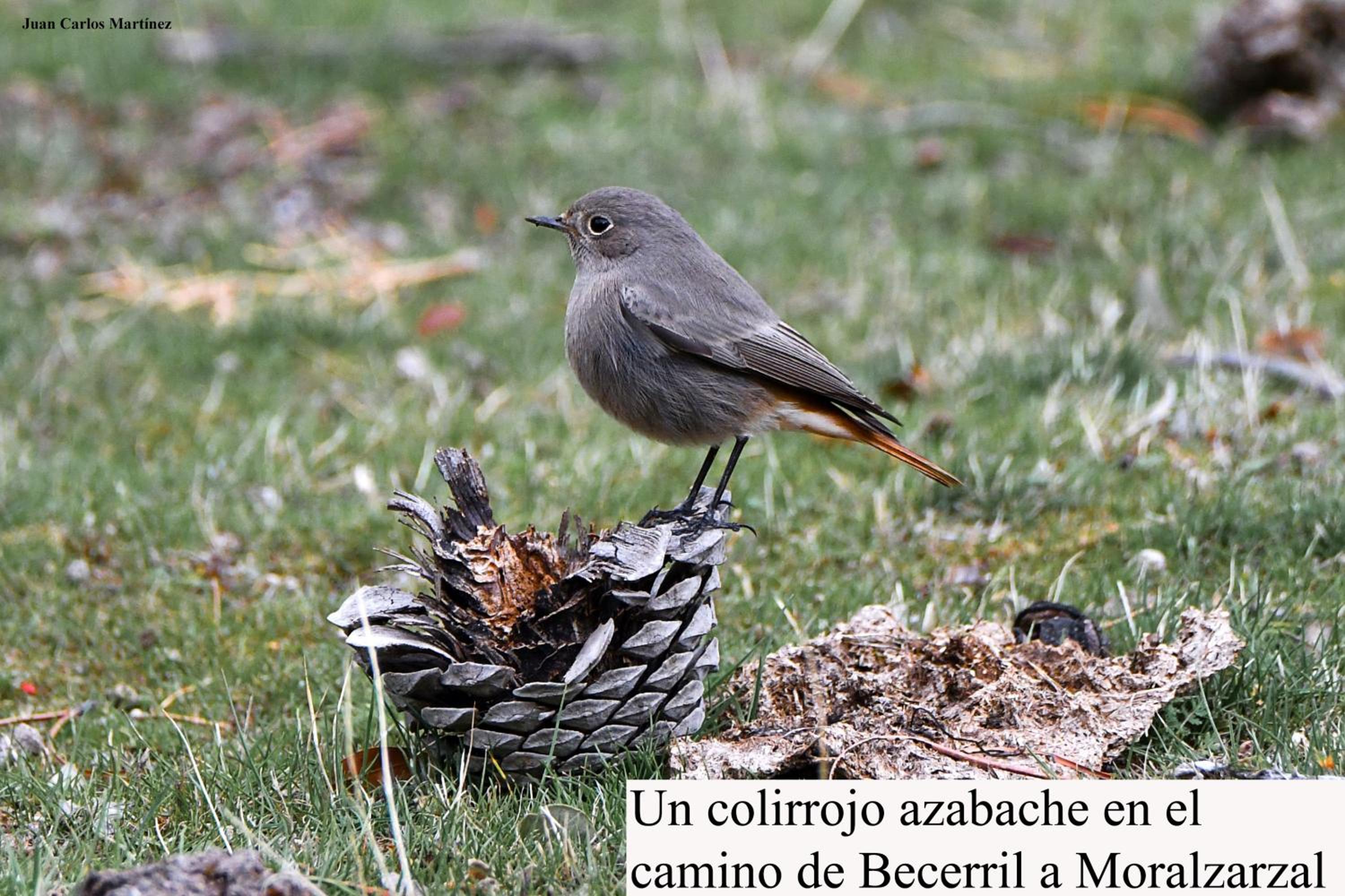 Photo 35