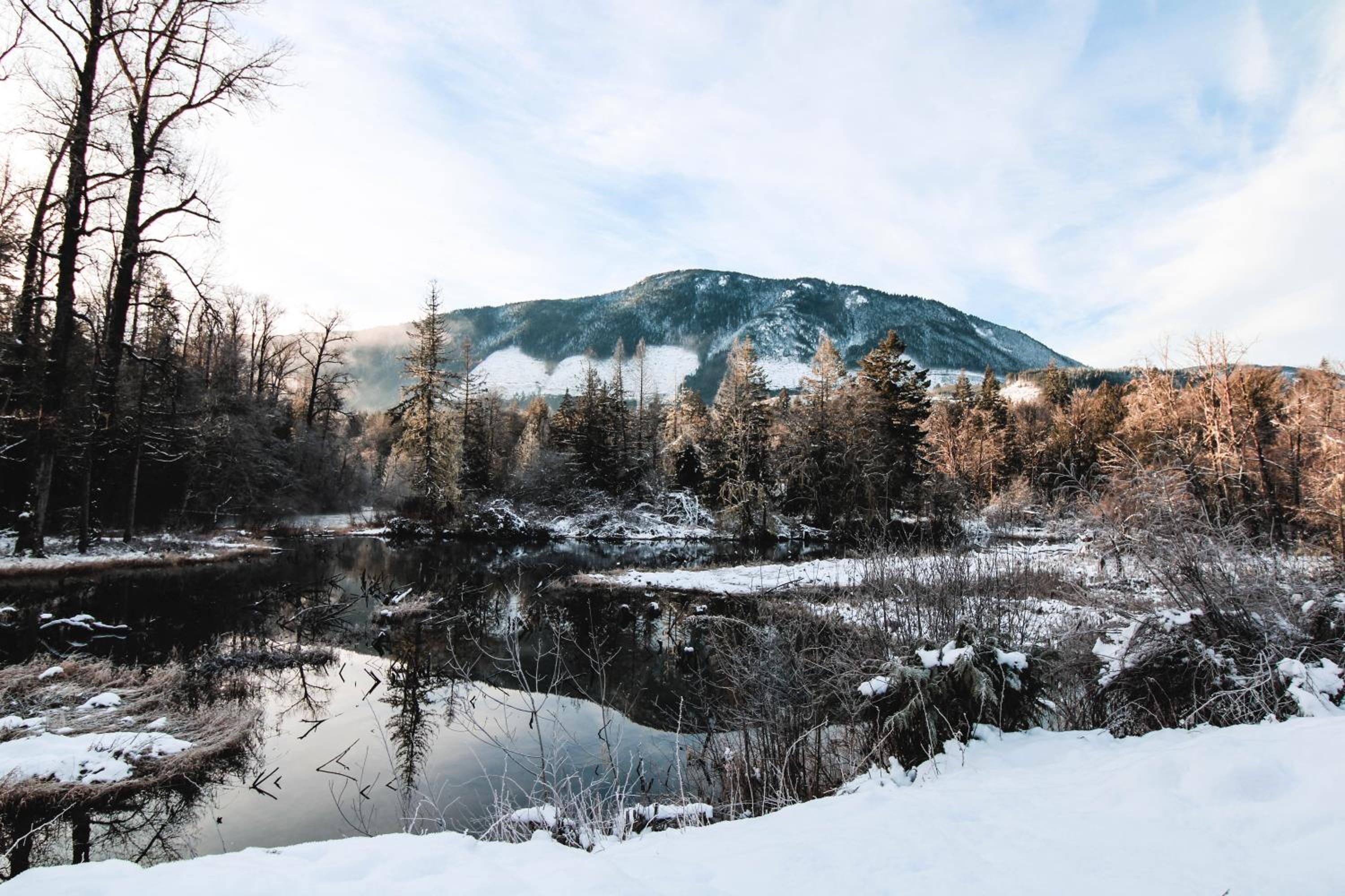 Cowichan River Lodge