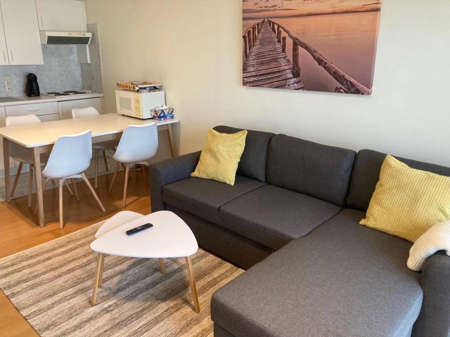 Appartment Blankenberge with front sea view