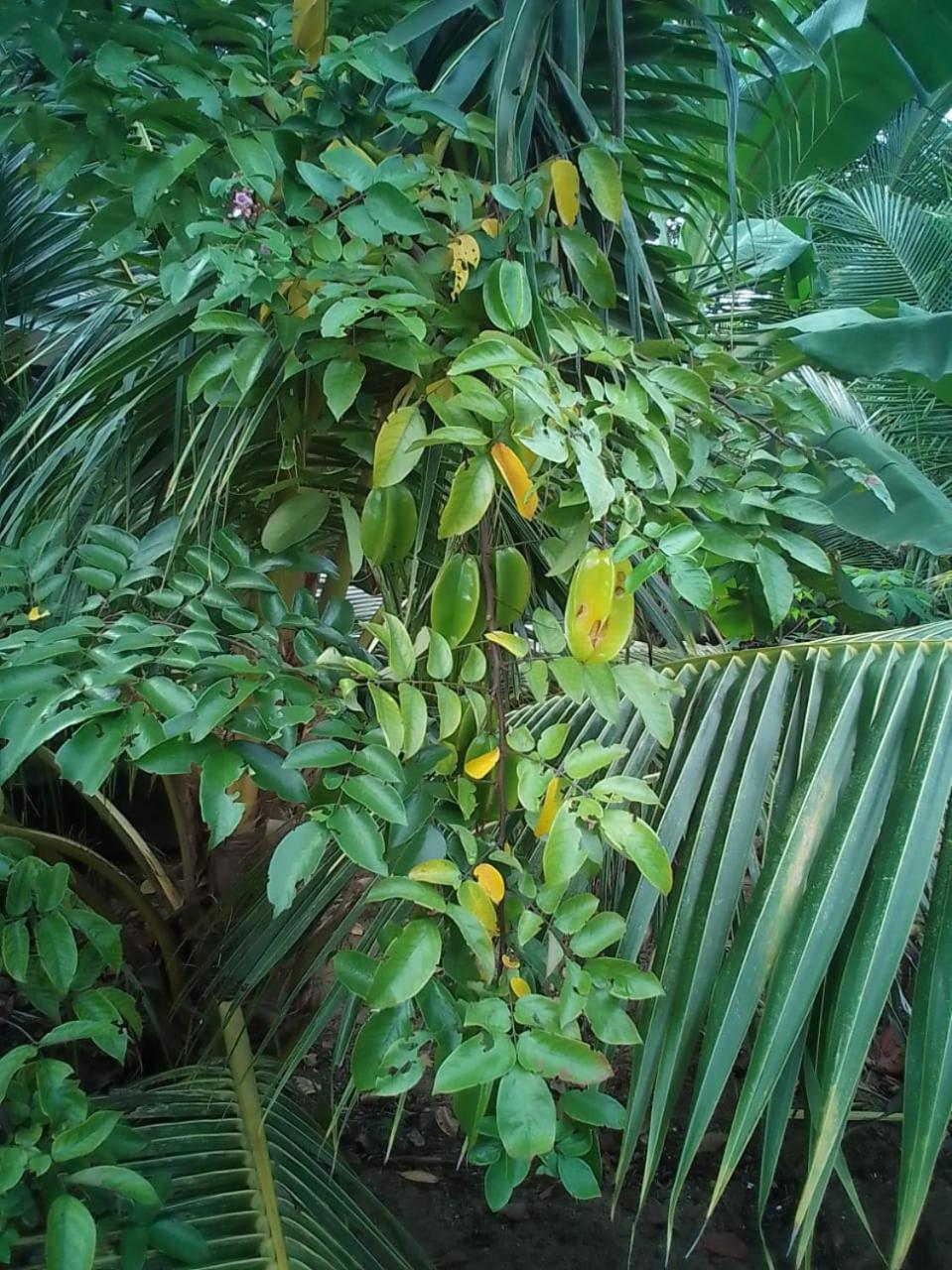 Photo 16