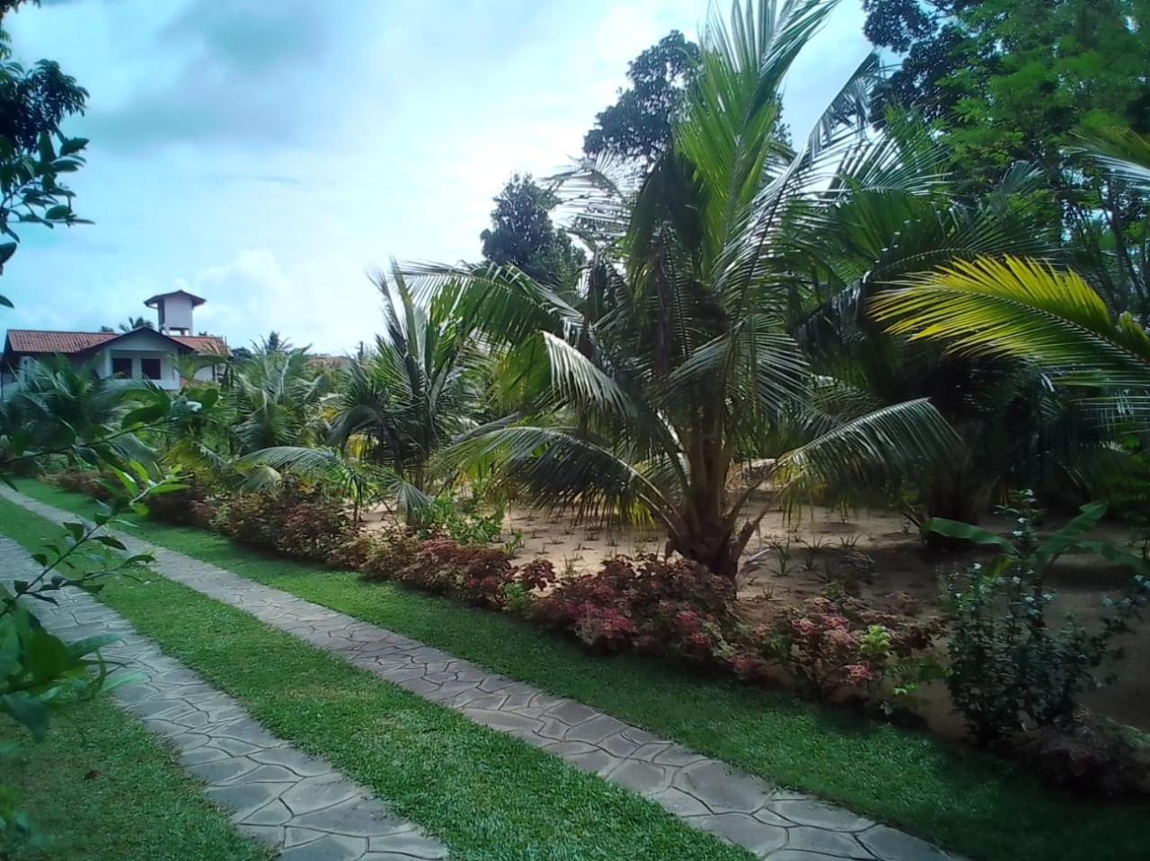 NegomboVilla view 5
