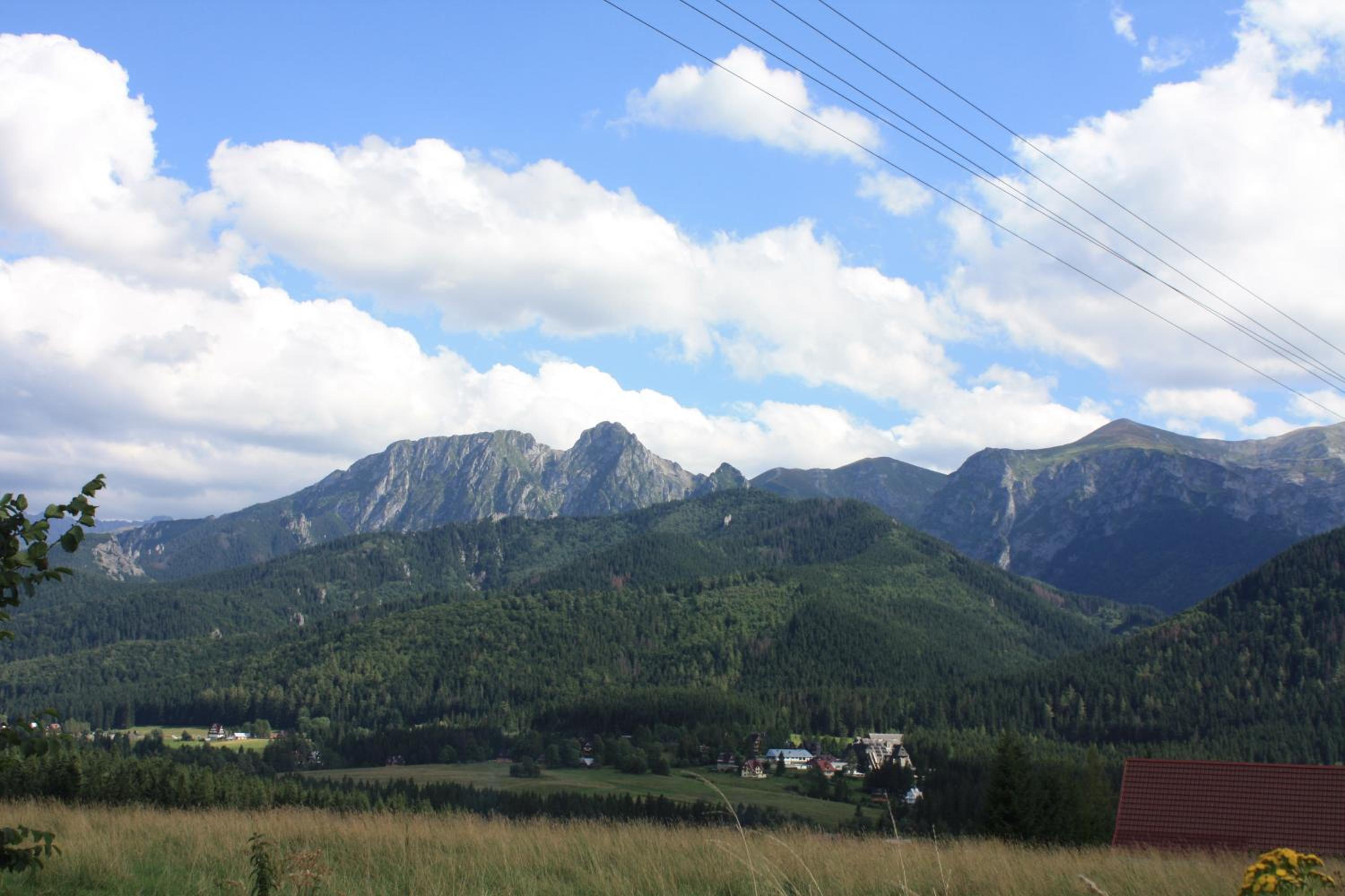 Apartament KROKUS view 5