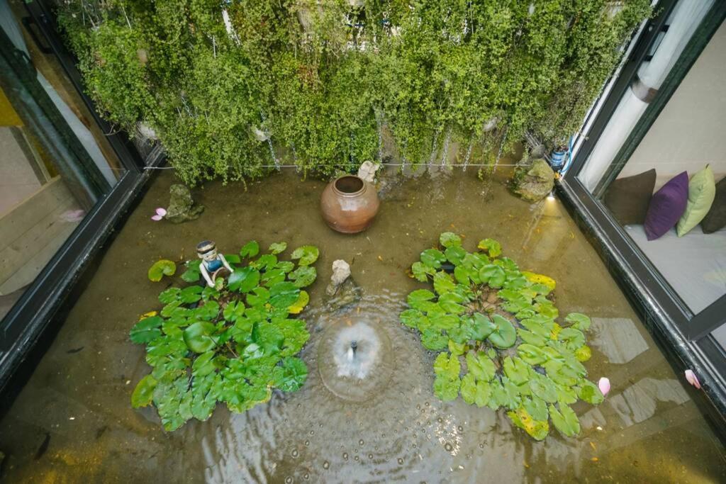 Homestay CHẤT - Oasis View 1
