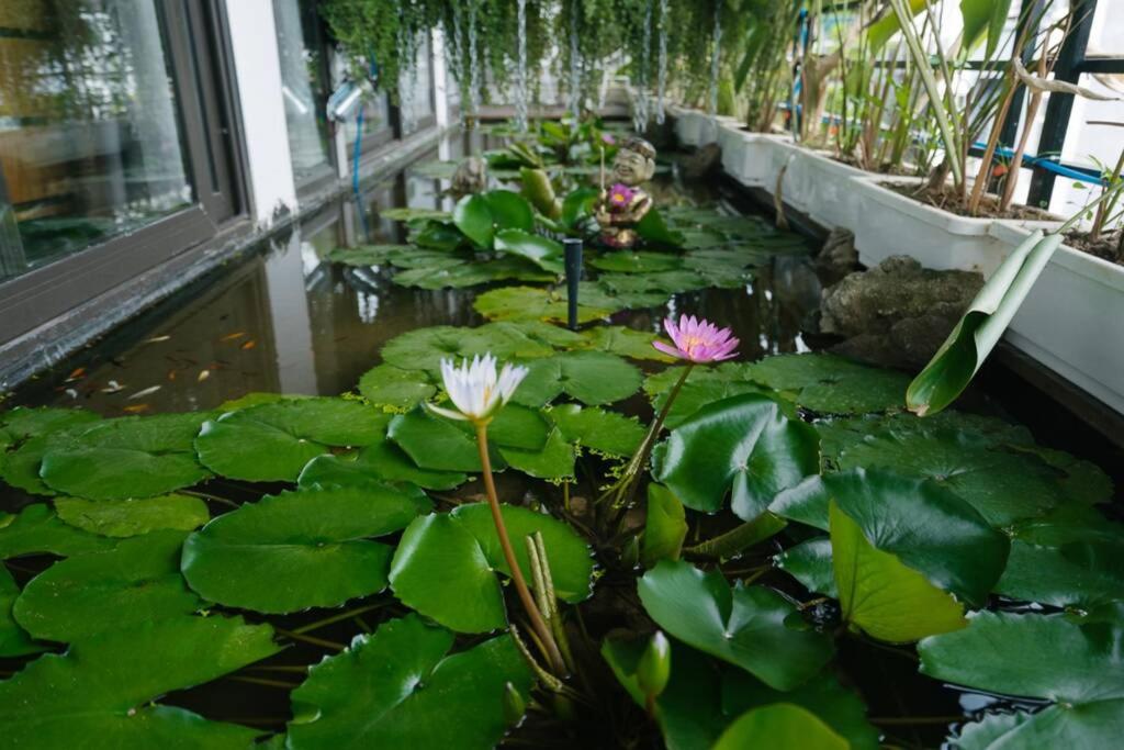 Homestay CHẤT - Pagoda View 2