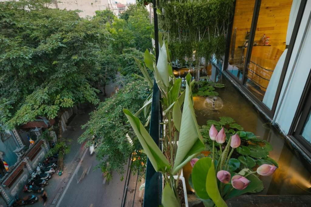 Homestay CHẤT - Pagoda View 2